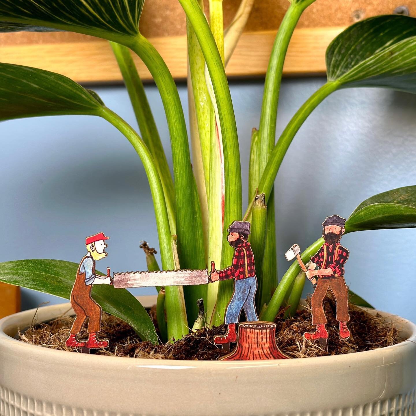 🤩🌱It&rsquo;s Fancy Plants Friday! No foolin!🪴🤩

🤫😆Prank them plants this April Fools&rsquo; Day with a Fancy Plants Diorama Kit from 20 Leagues! Your plant will blossom with delight after realizing that the twee logging crew is really a twee fa