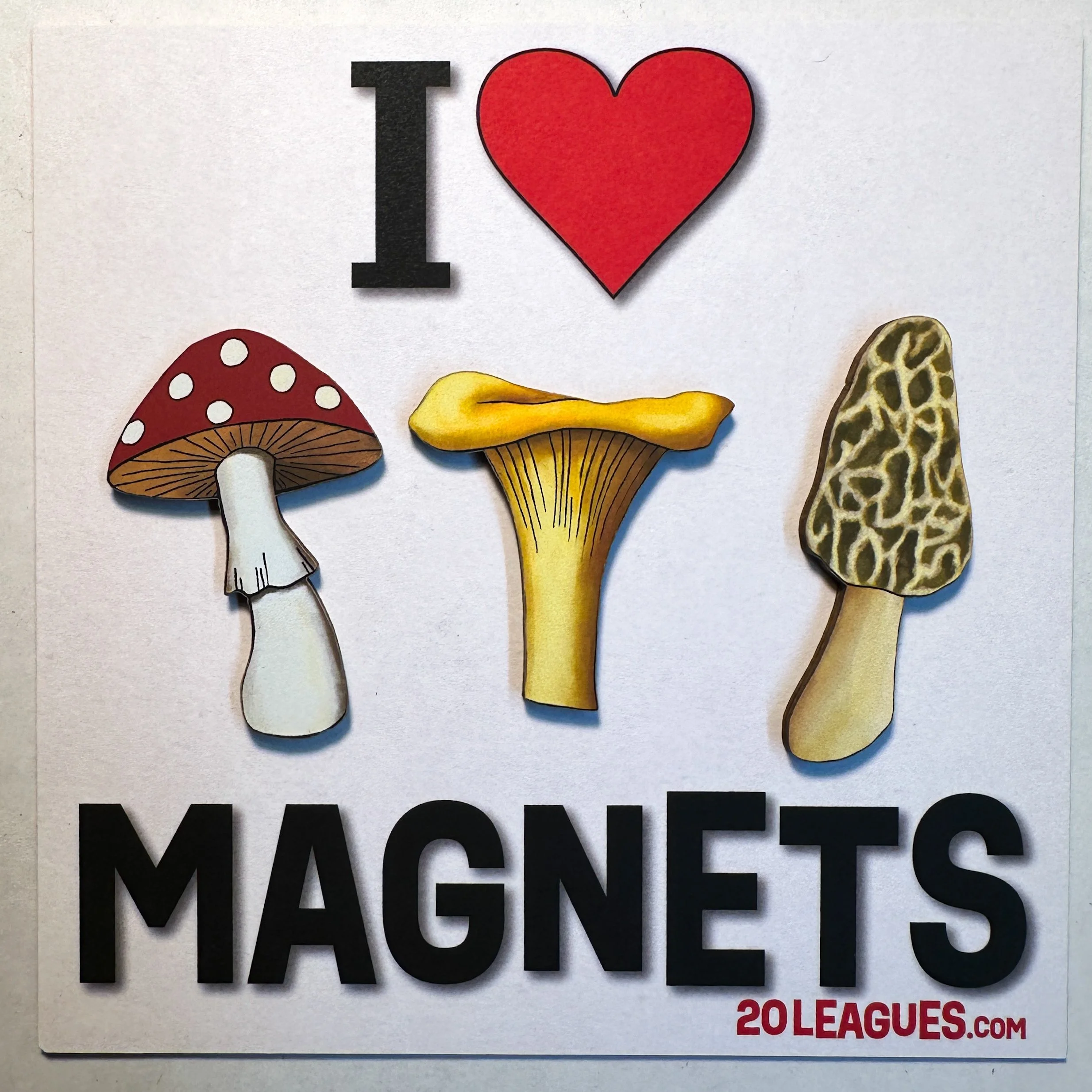 I Heart Magnets! Mushrooms