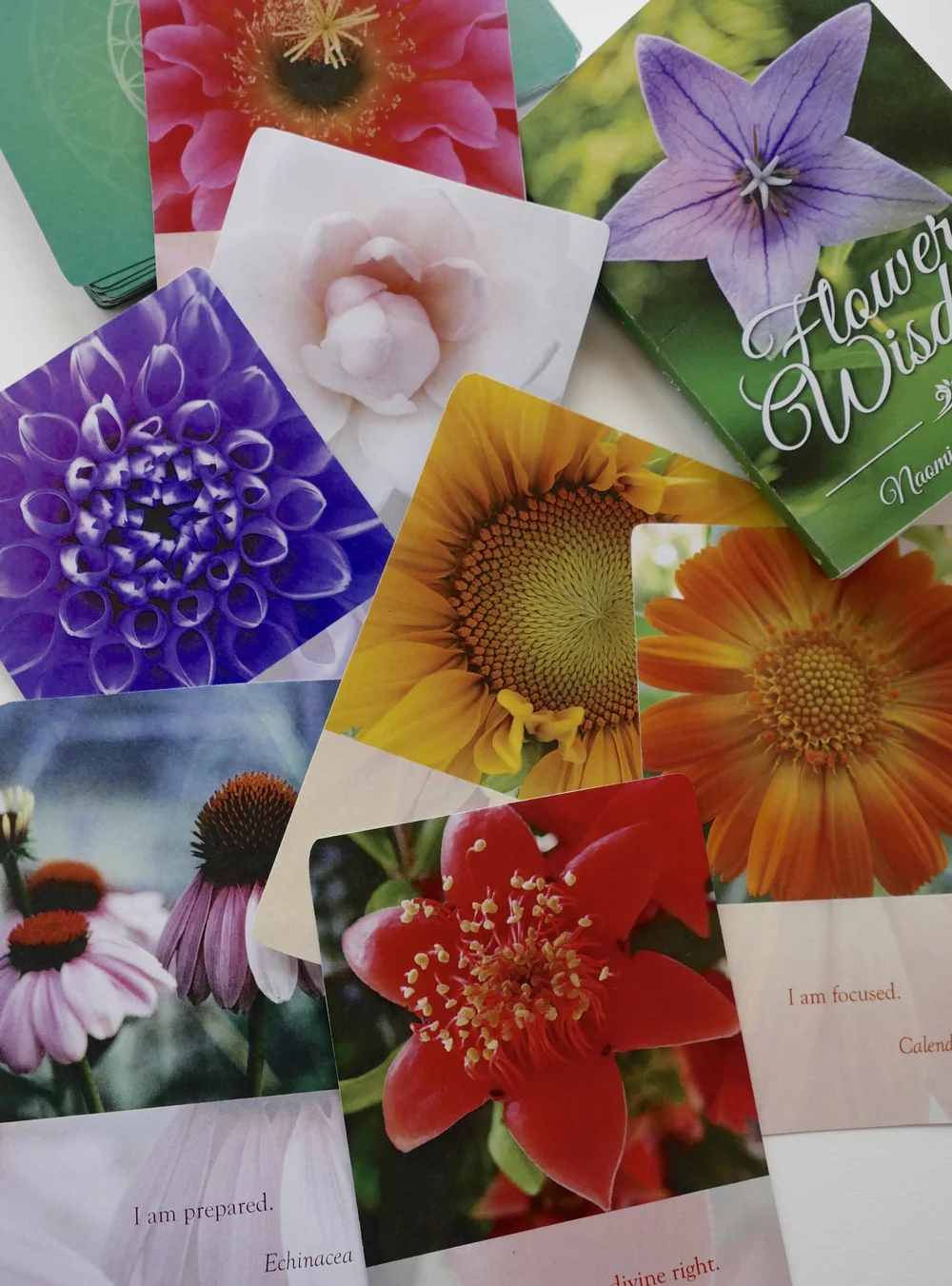 plant themed decks tarot decks tarot, tea, & me a tarot reader's community plant themed decks tarot