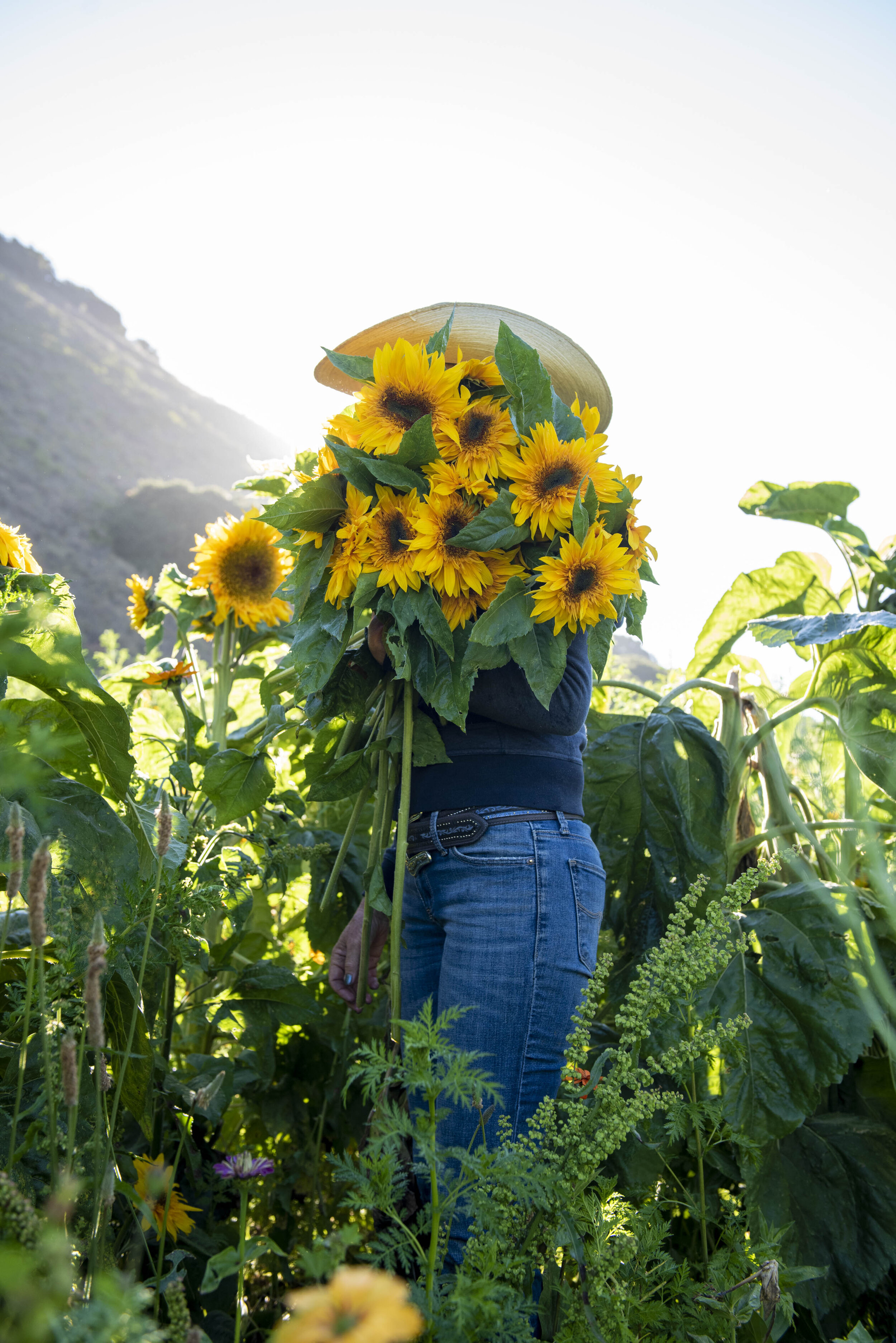 EBF_Farmstand_071519-1347.jpg