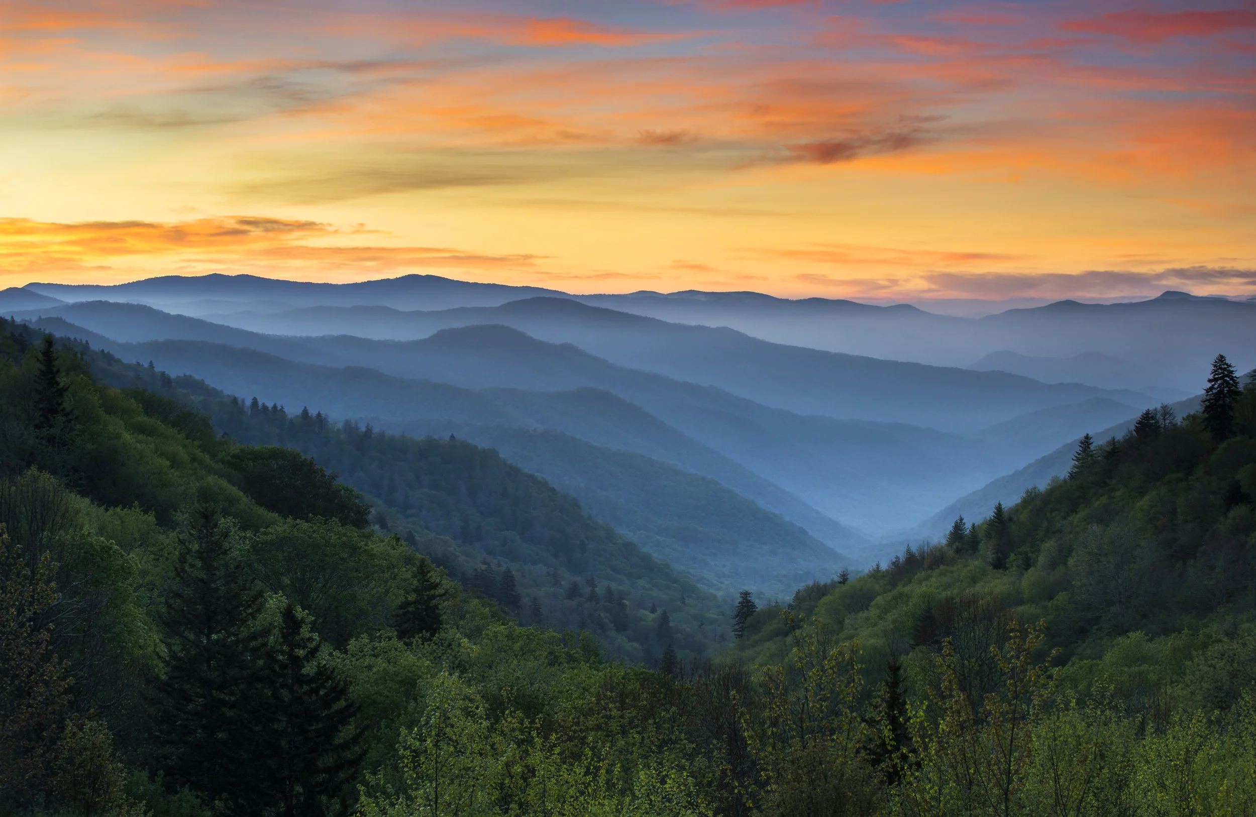 Sunrise-Landscape-Great-Smoky-Mountains-National-Park-Gatlinburg-TN-178377795_7245x4715.jpeg