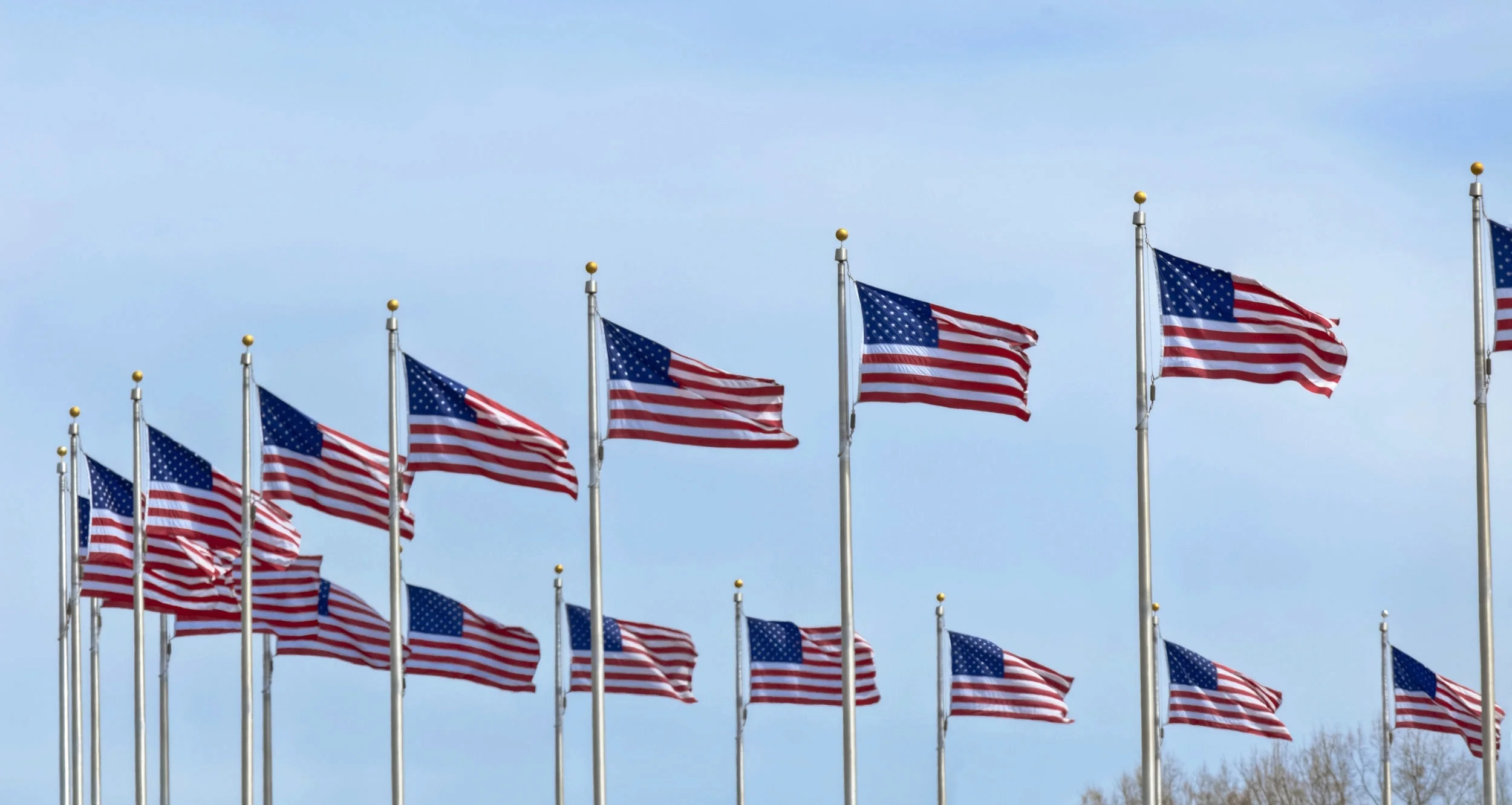 Flags-Catching-a-Breeze-at-the-Washington-Monument-184404578_5004x2667.jpeg