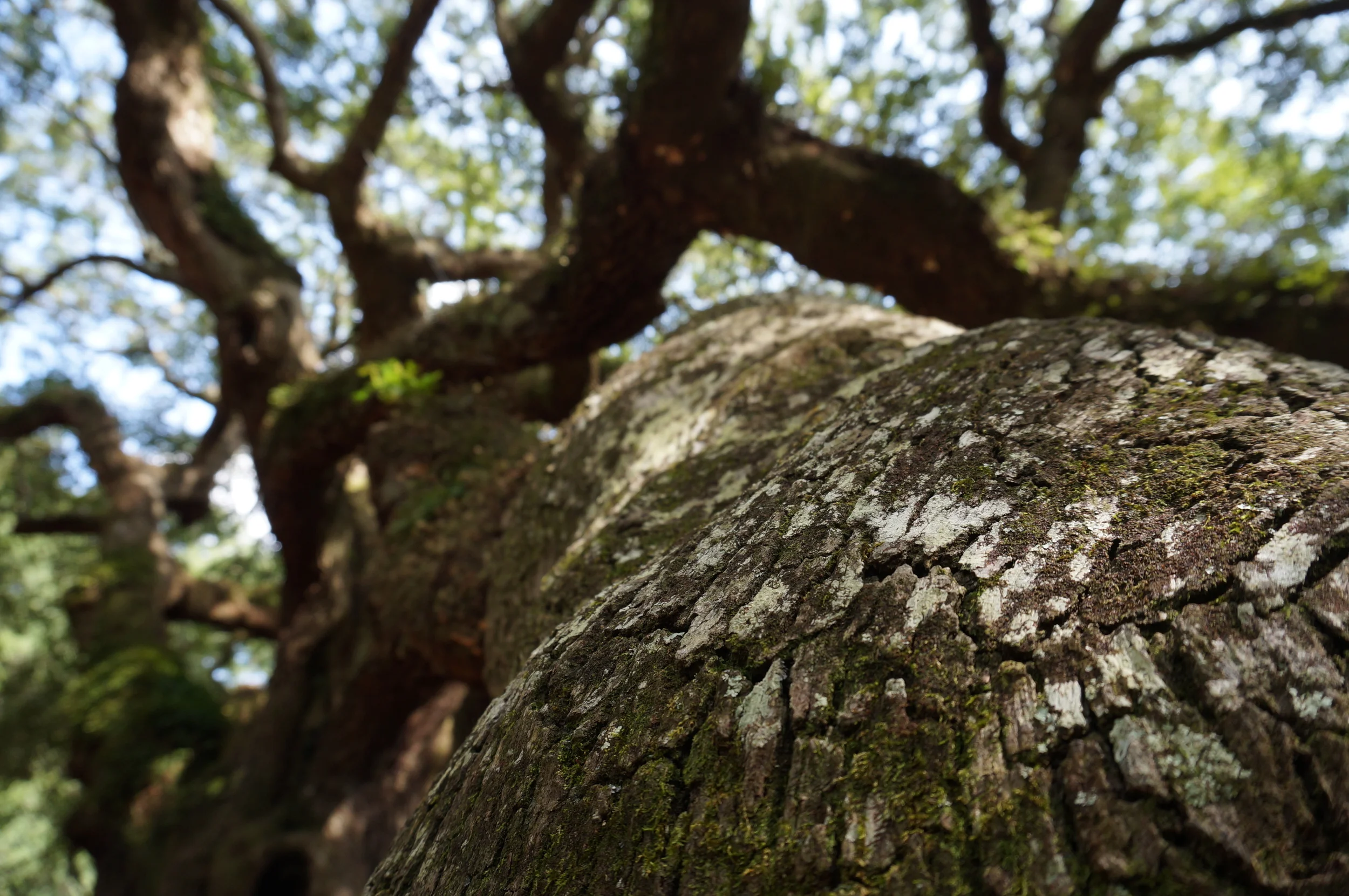 Why the #ShoutYourAbortion Campaign Keeps Me Up At Night