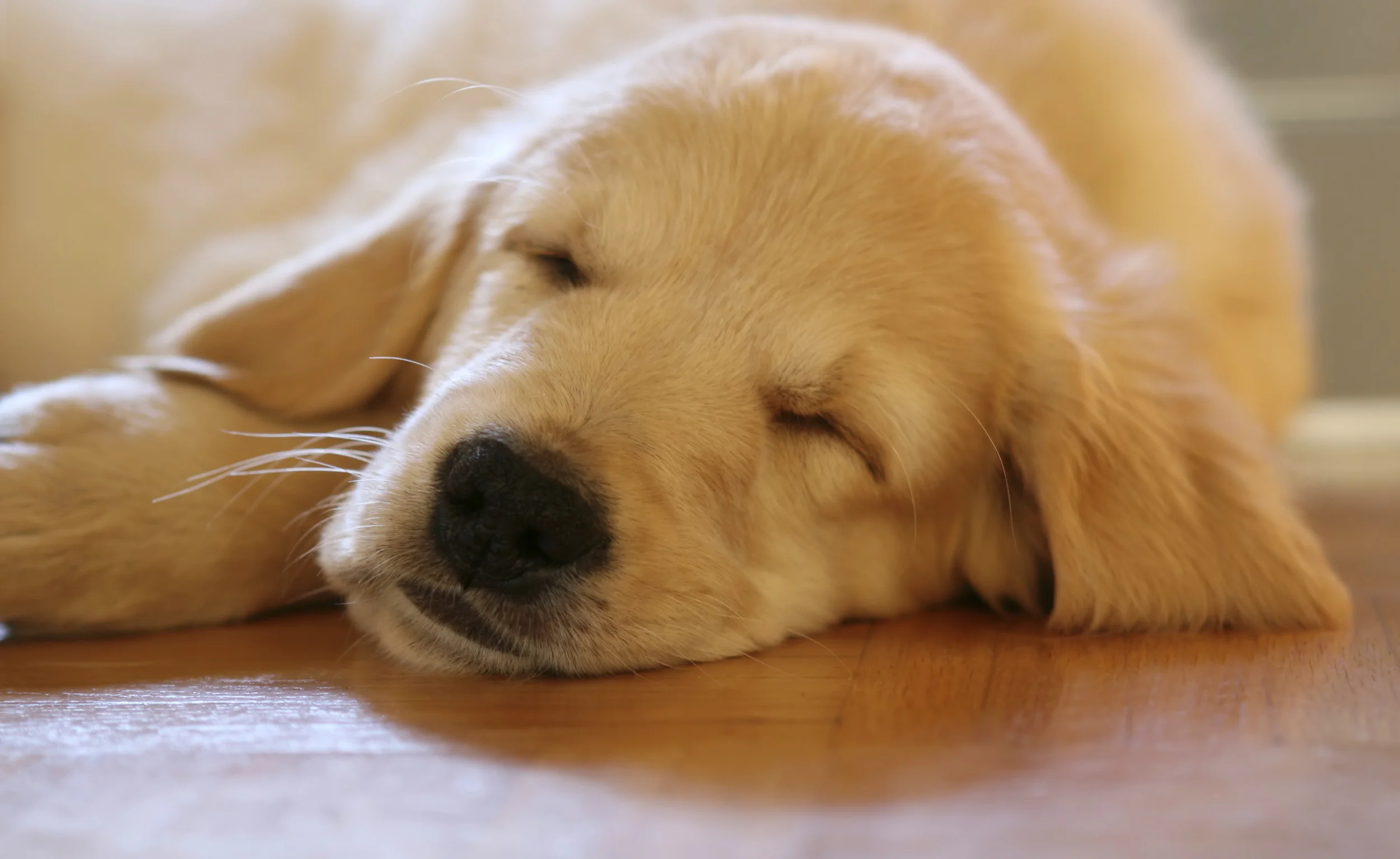 iStock_000002984766_Large.jpg