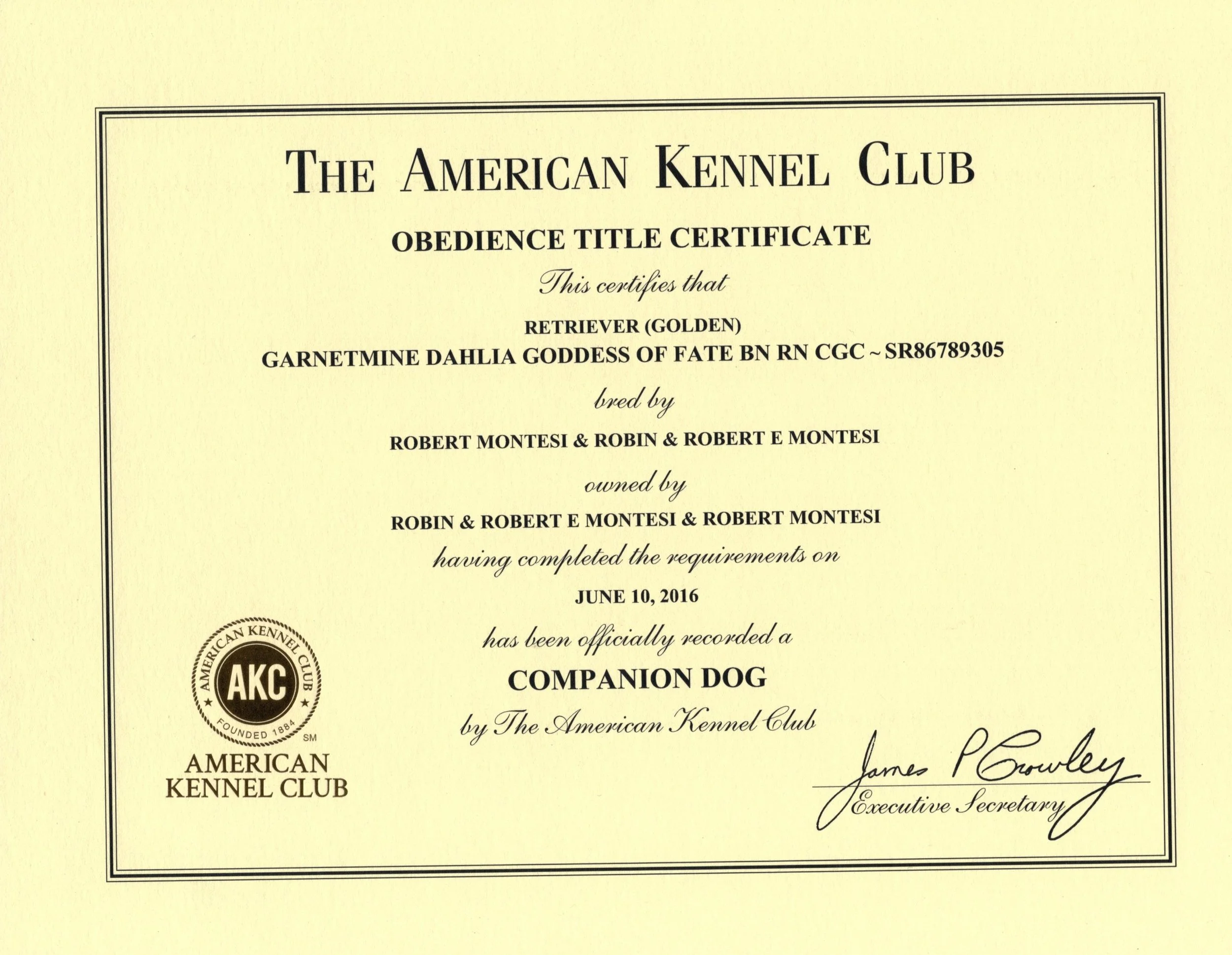 akc dog training certification