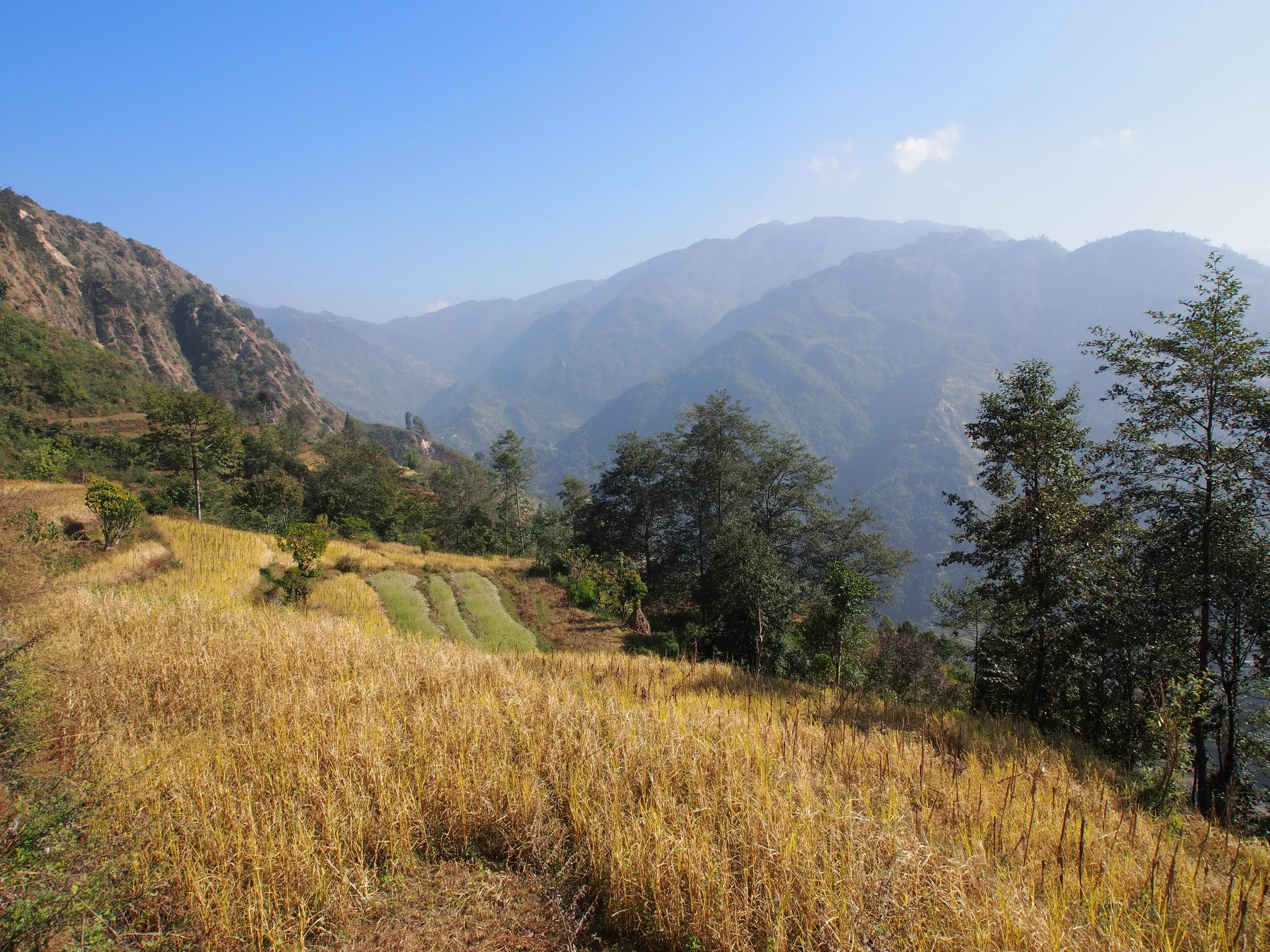 Plot of land that Thulo Dading community may donate for new school site