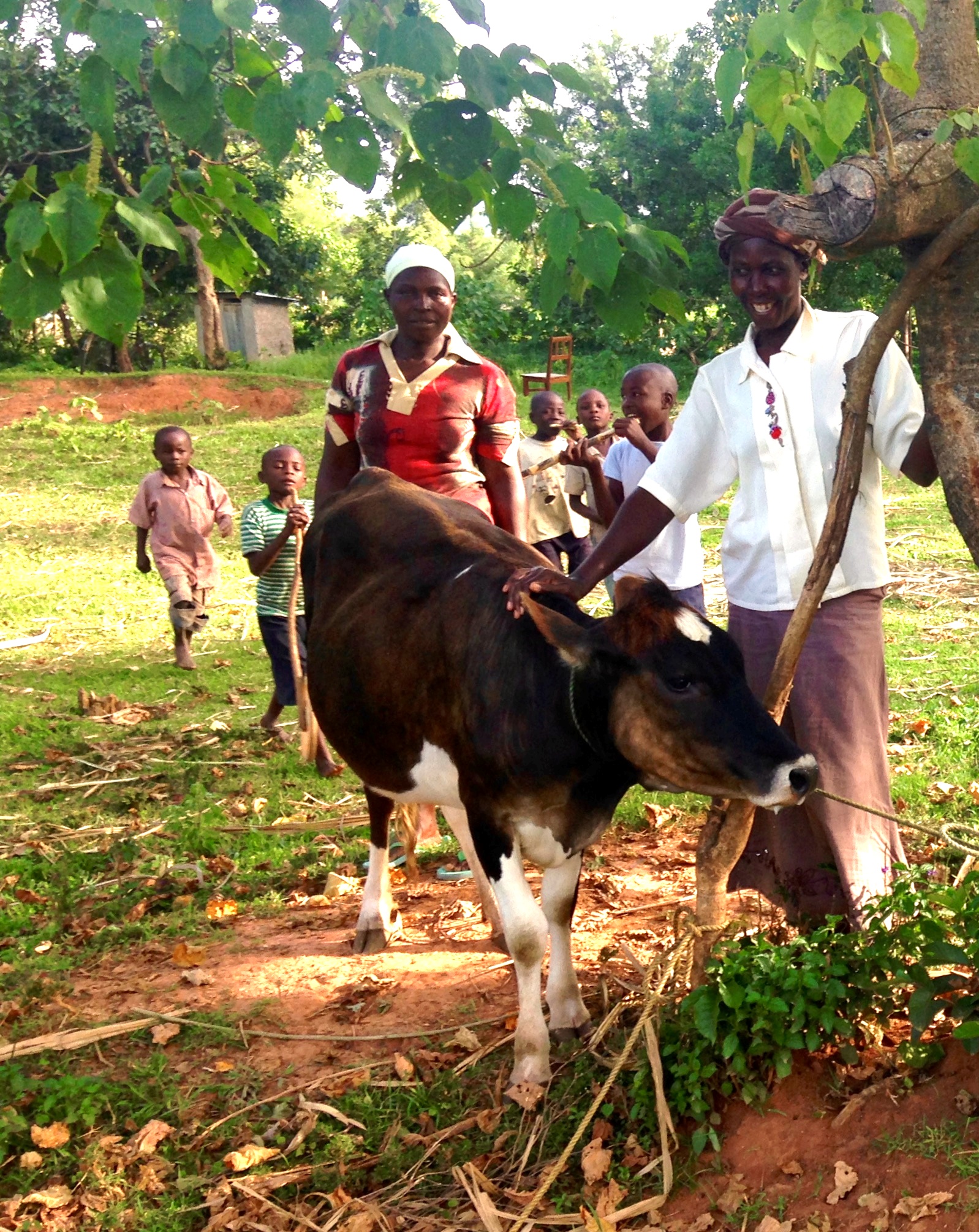 Rebecca and her business partner proud to show the business cow