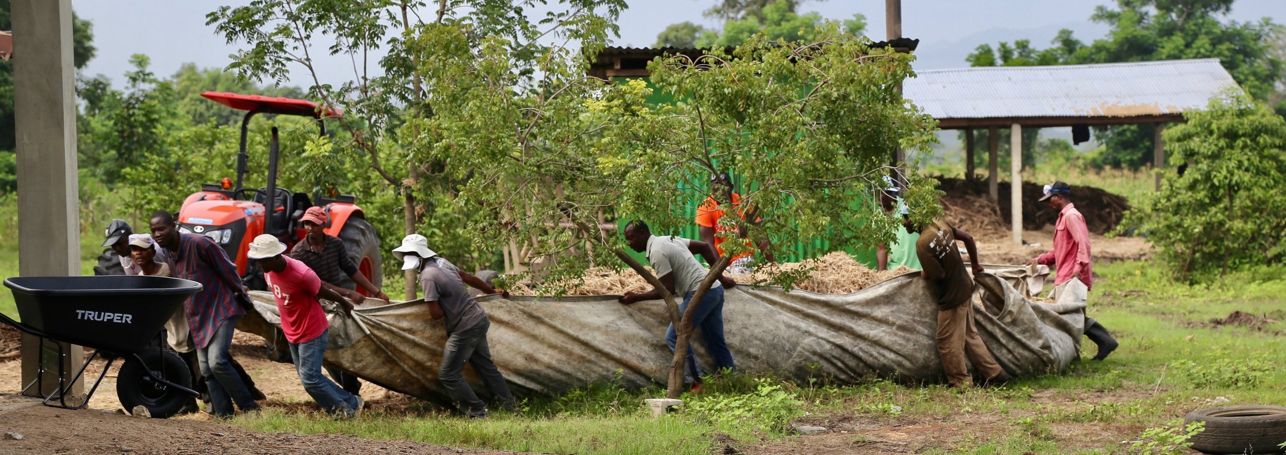 Employees transporting bagasse (sugar cane waste)