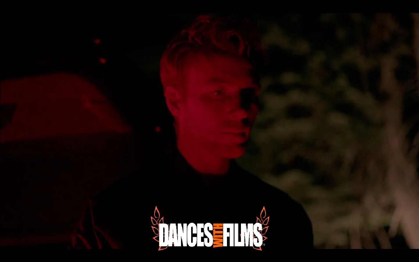 "One of the most impressive aspects of the film was the detailed execution of writer/director Jon Cvack" - LA Splash review of Road To The Well , Elizabeth Regal