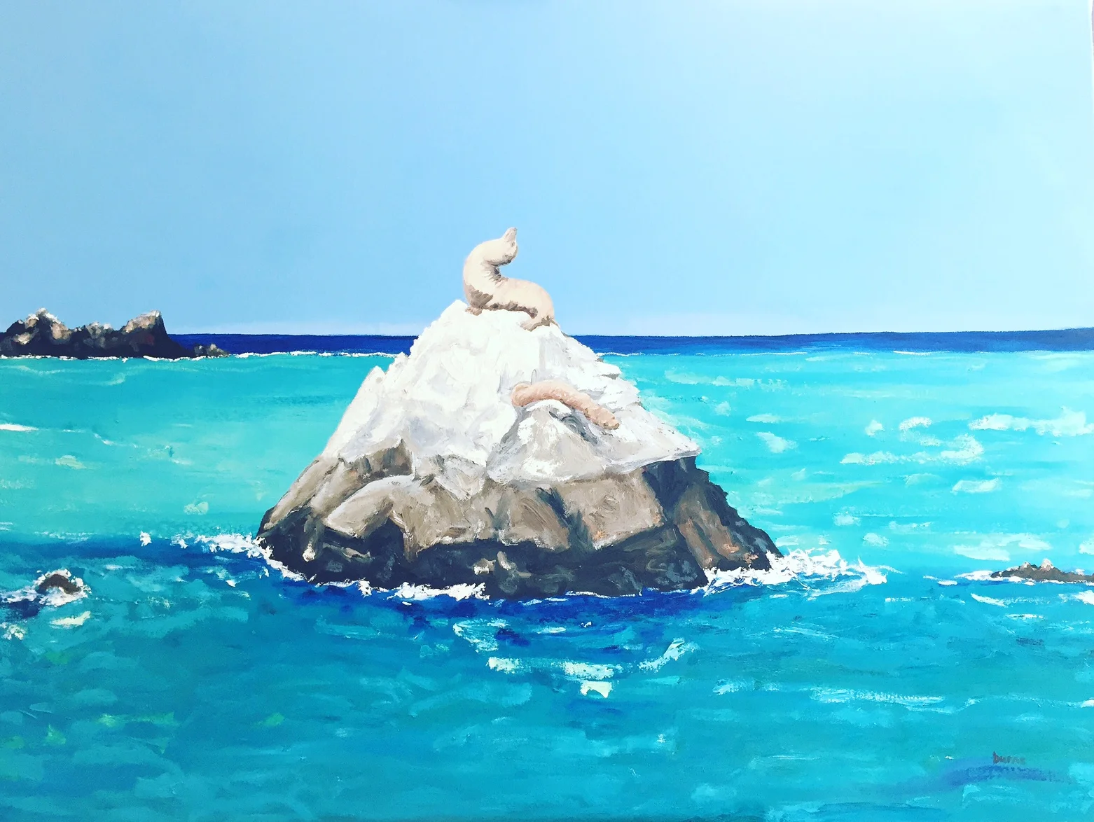 Californian Sea Lions 2016 by Stephanie Burns, painted off the coast of Catalina
