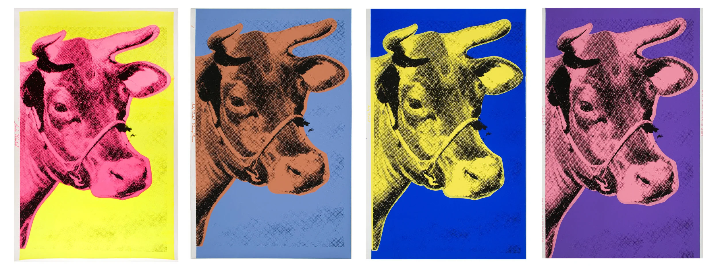 Andy-Cows.jpg