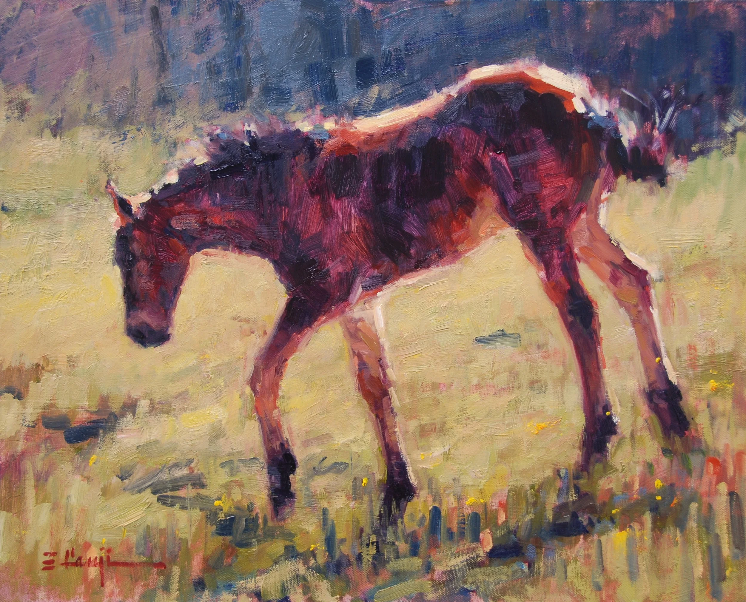 Off To Explore (16x20).JPG