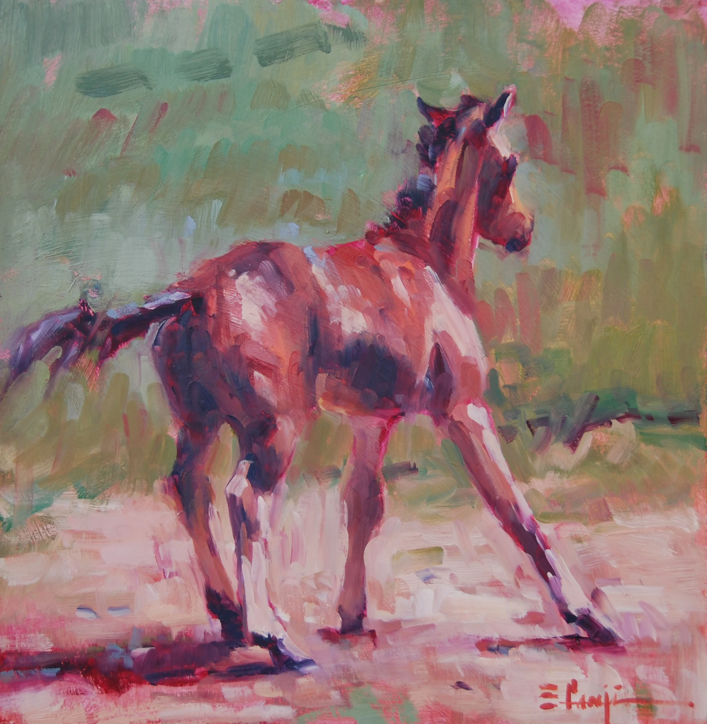 Dart (12x12).JPG