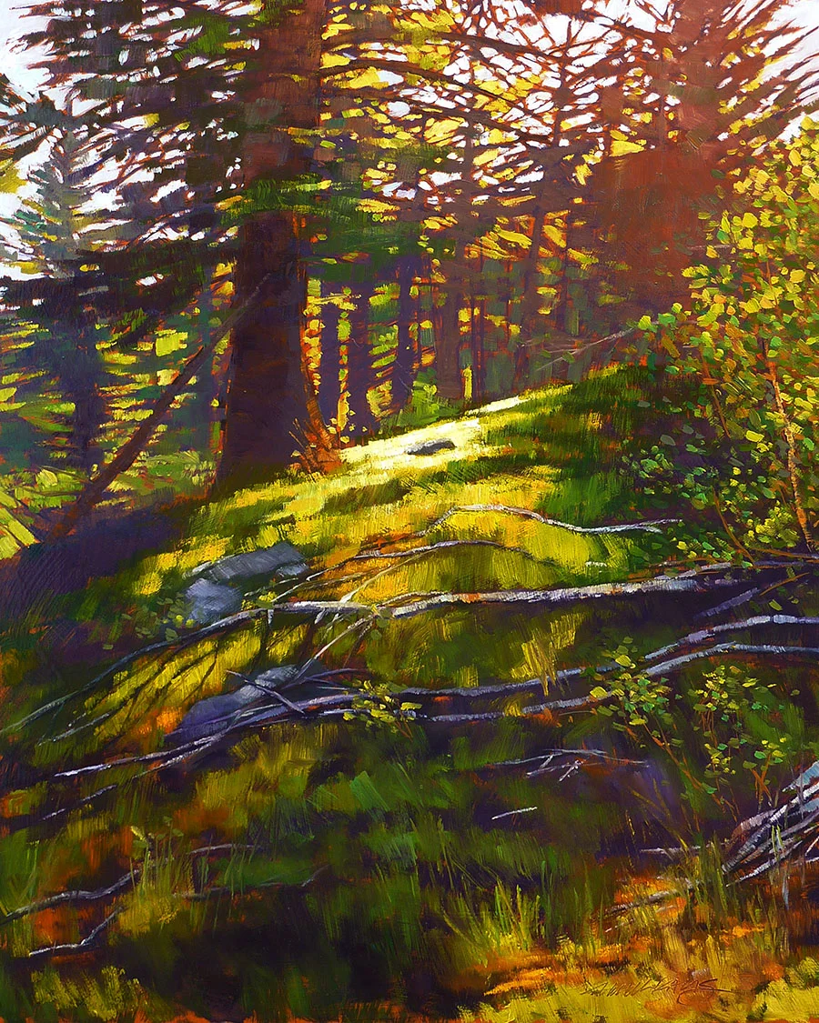 EveningLightlr.jpg