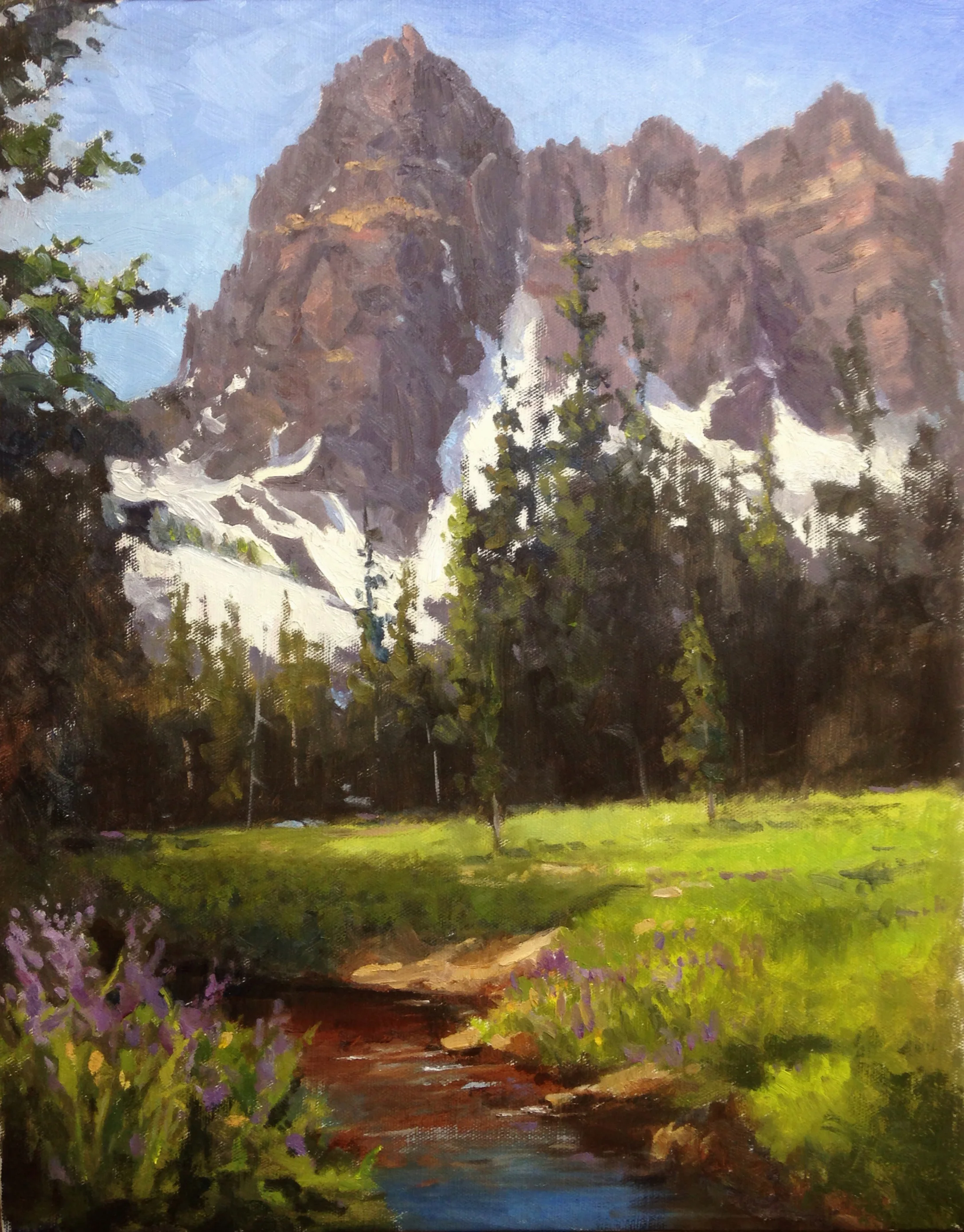 Cascade Creek Meadow-_edited-2.jpg