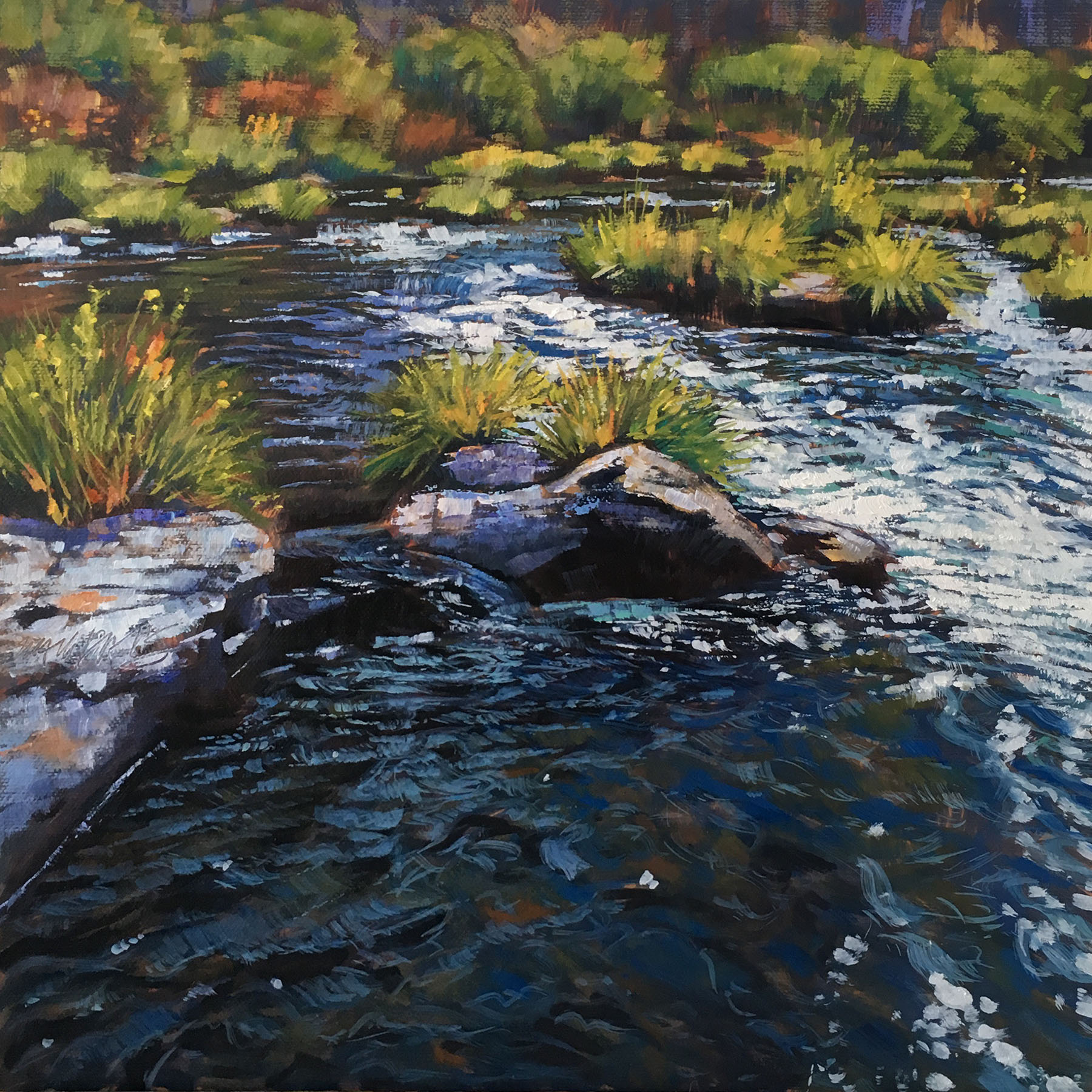 "Above Steelhead Falls"