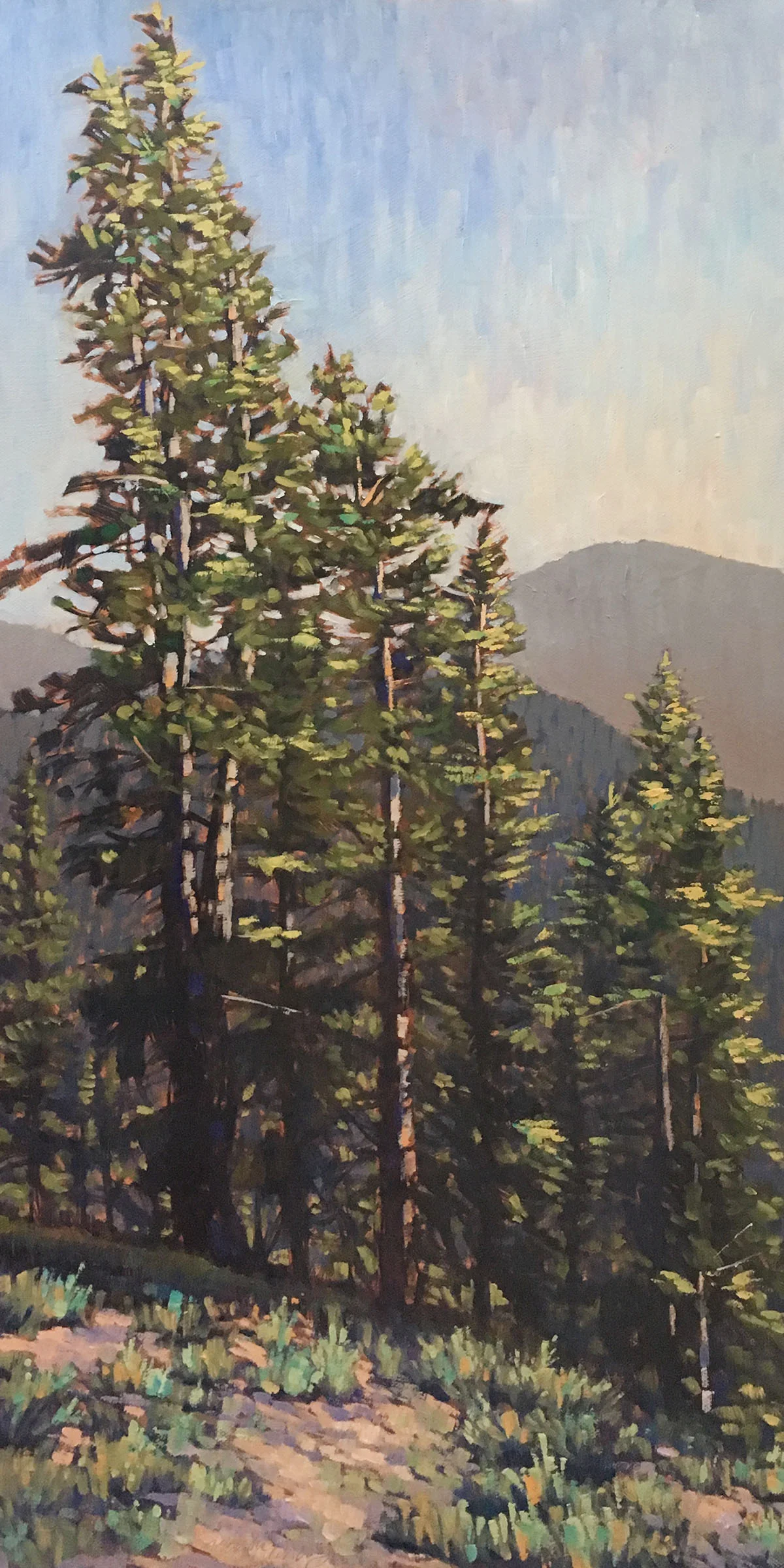 "Ponderosa and Sage", Mark Davis