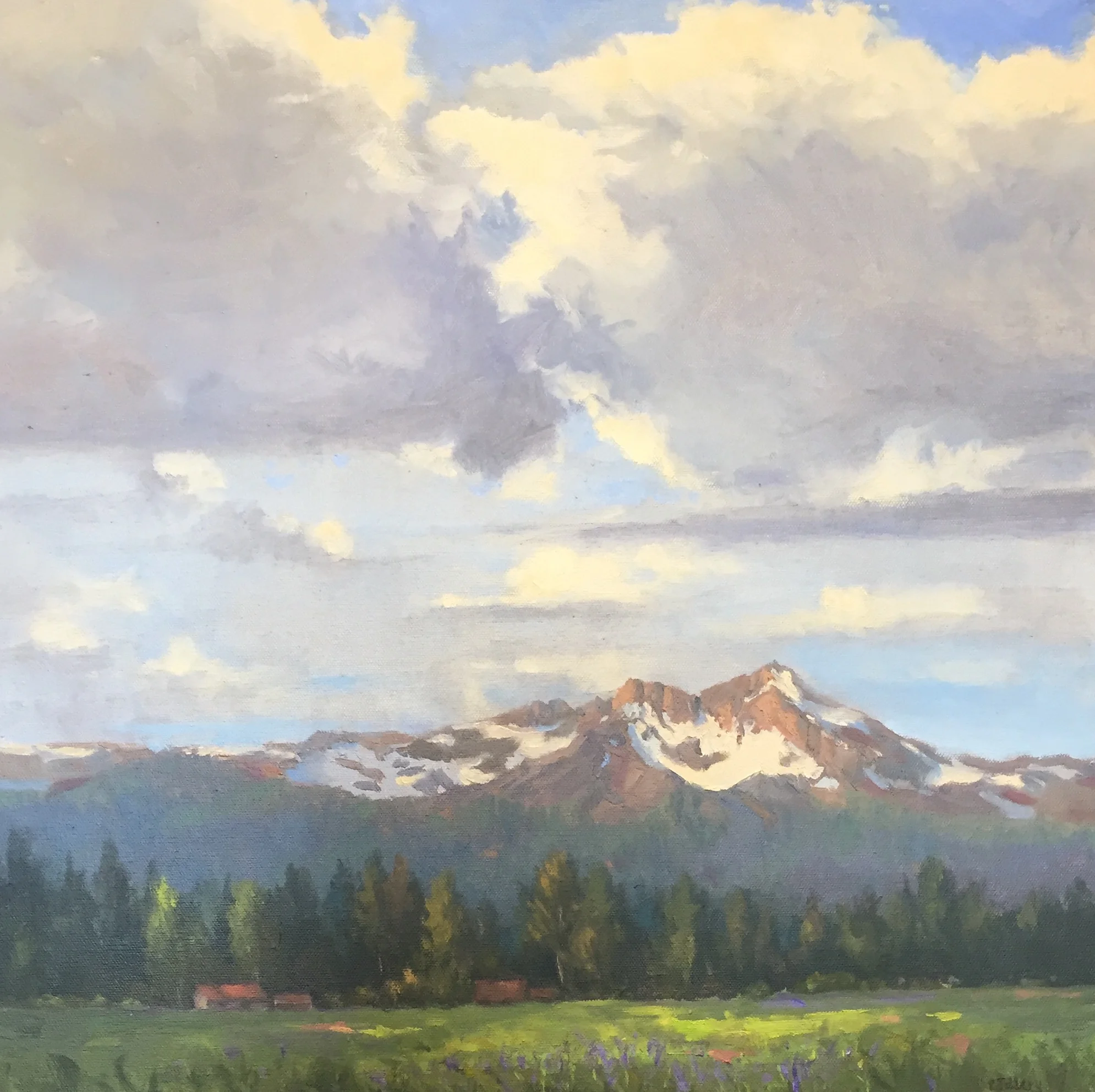 Randall Tillery — Clearwater Gallery & Framing