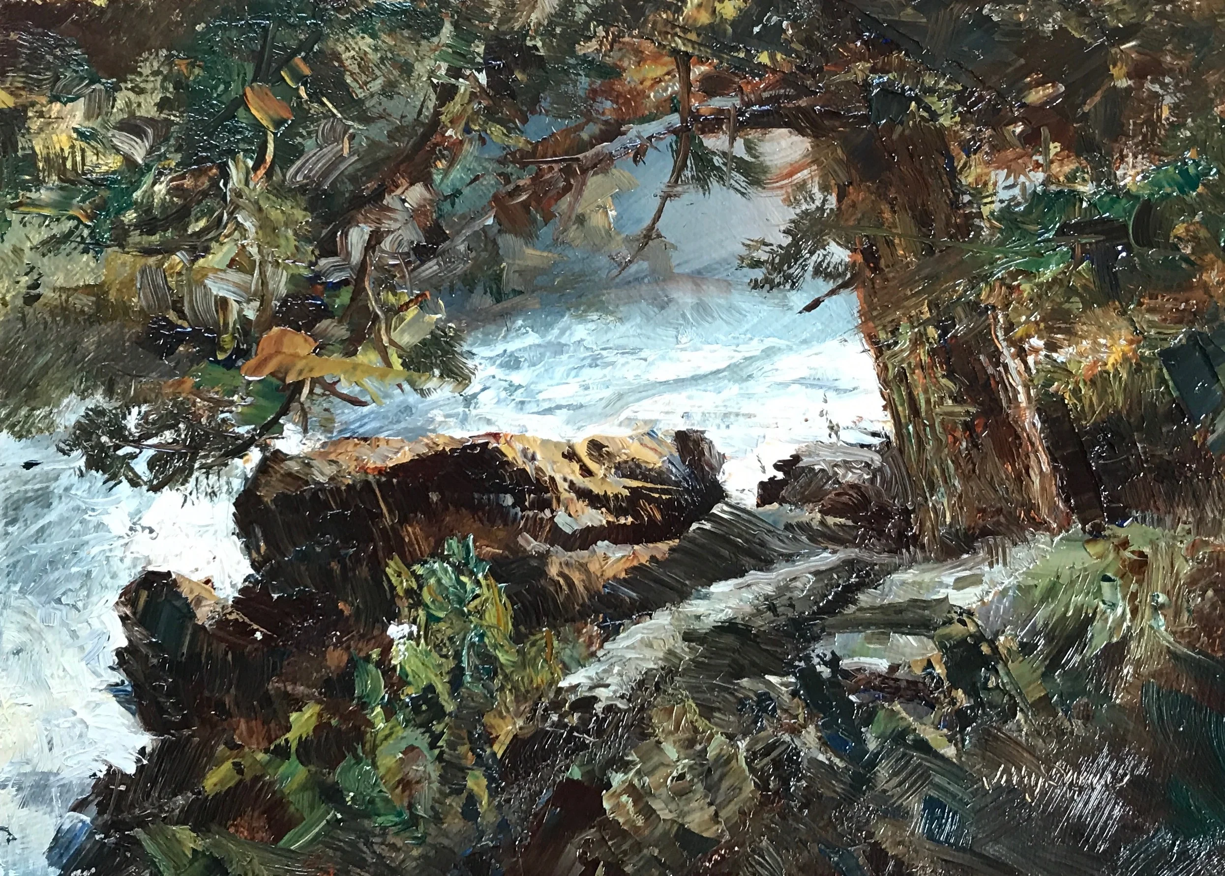 "Dillion Falls"