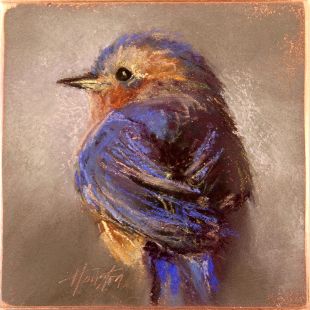 "Another Stoic Bluebird" 8x8, Pastel on copper $550