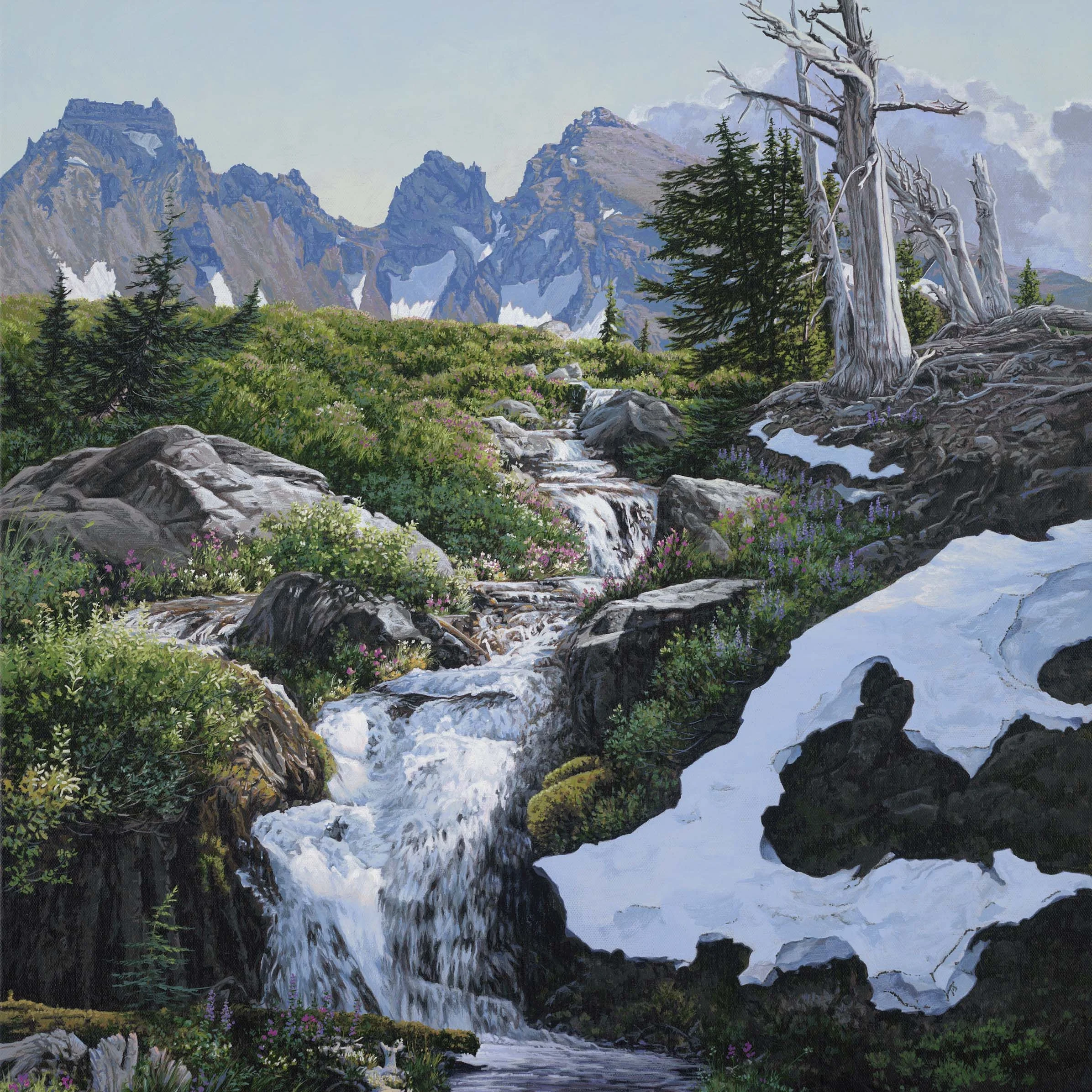 Clearwater Gallery & Framing