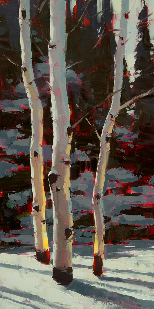 Tensive 24x12 o-c.jpg