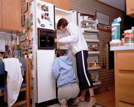 Cleaning Fridge, 2004