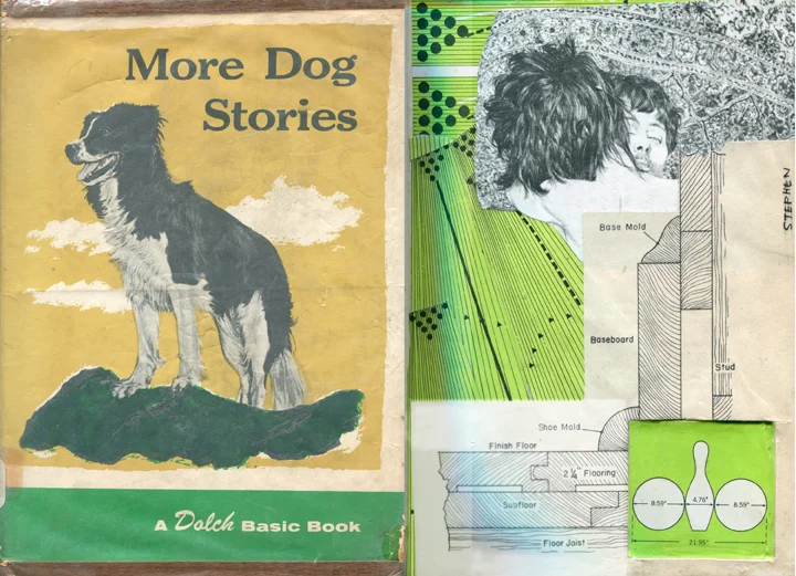 more dog stories.jpg