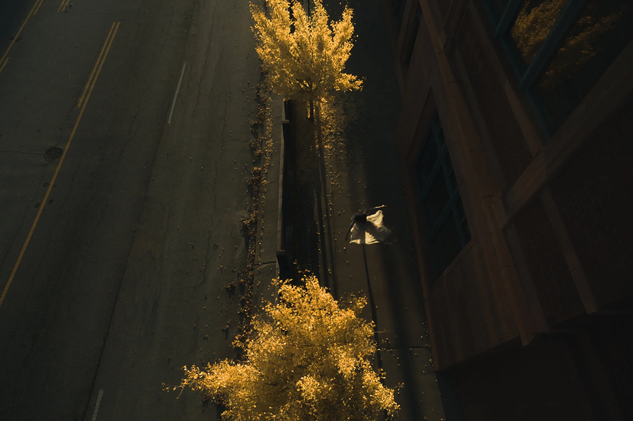 DJI_0119.jpg