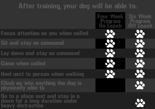 K9-fourvssix_week_training_chart.png