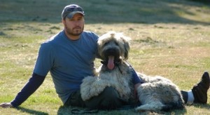"This is my life's work, my calling if you will. I want to help my clients and their dogs have the best possible relationship. This program is the best possible way for me to do that!"