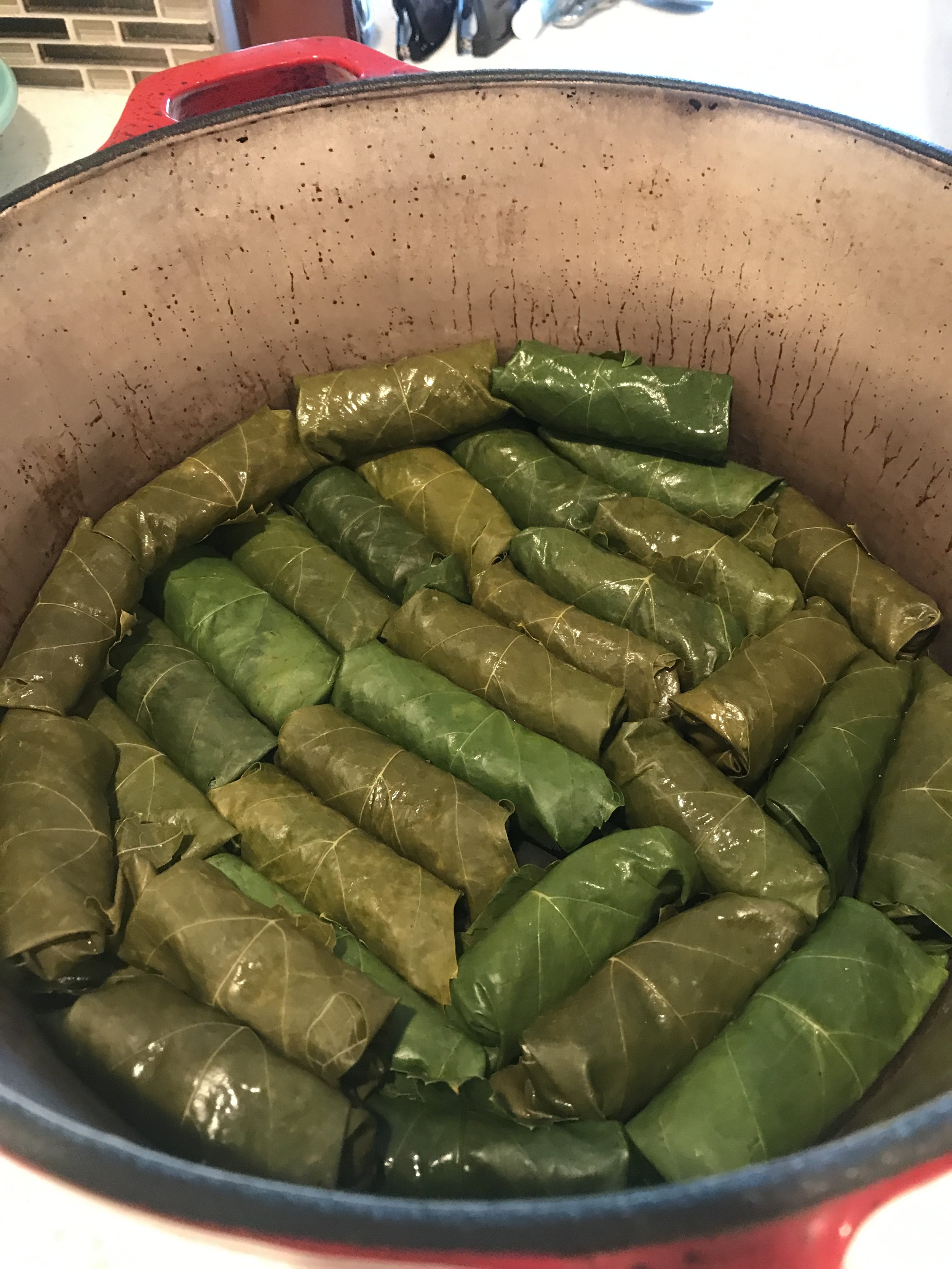 Lamb Stuffed Grape Leaves