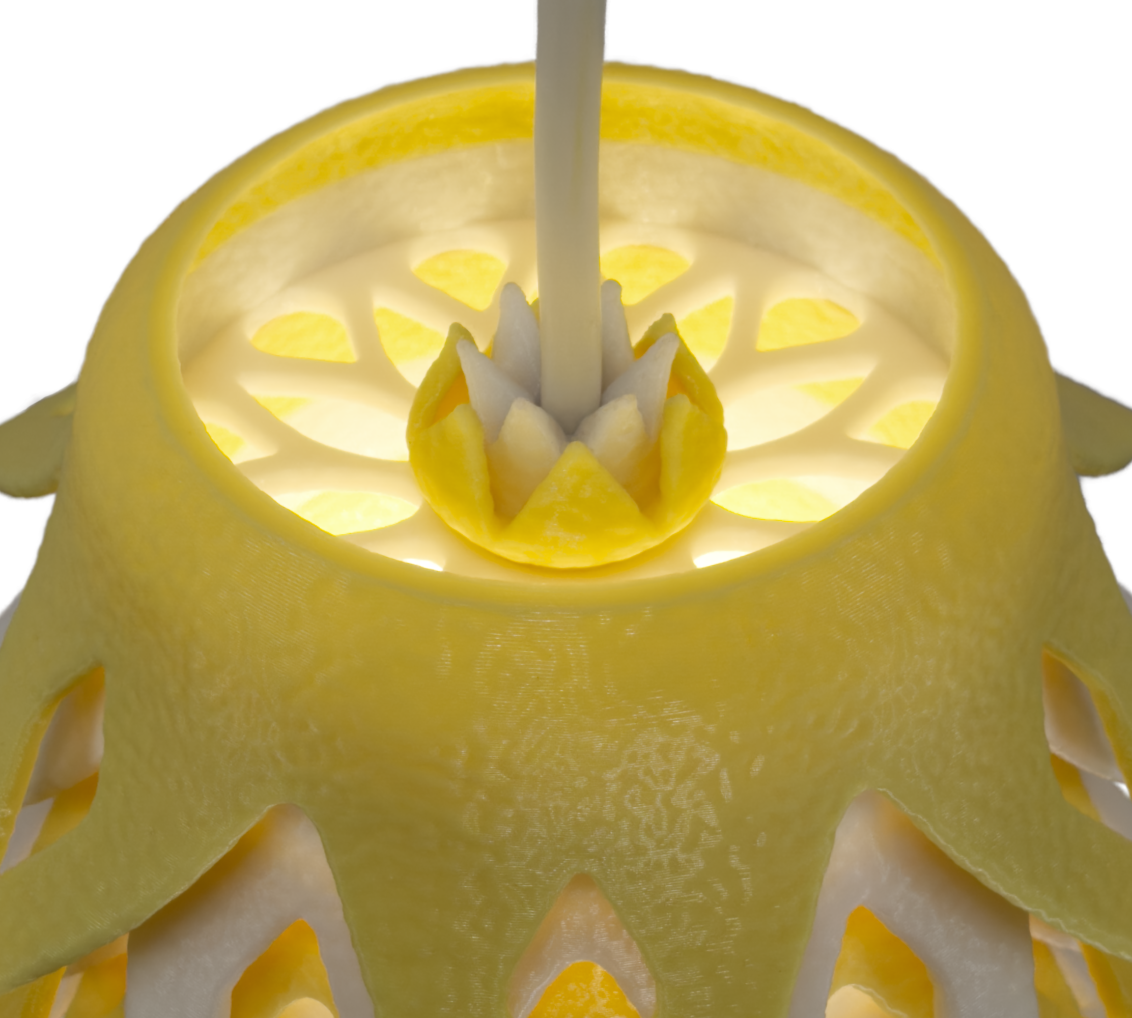 Pinecone Yellow Top.png