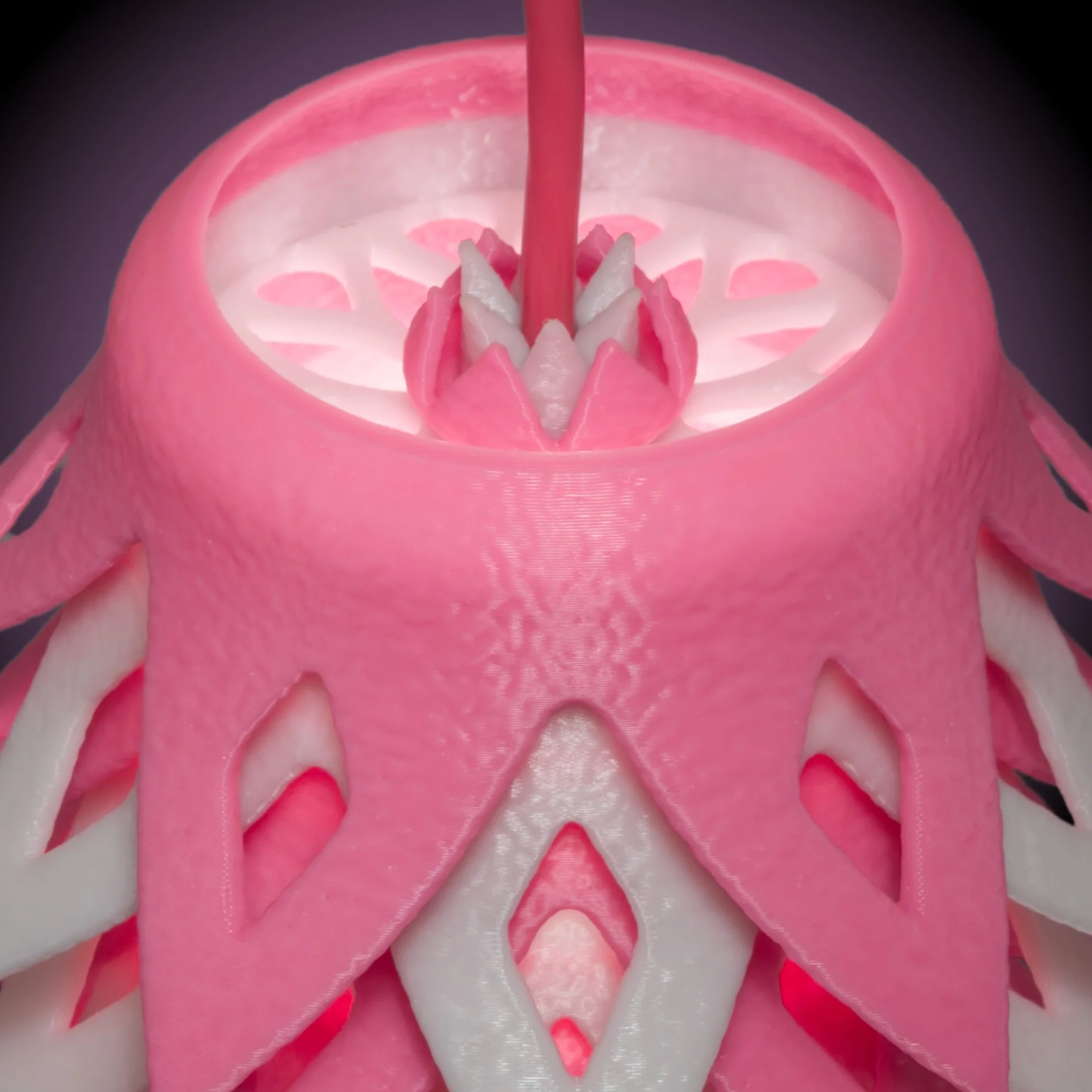 Pinecone Pink Top.jpg