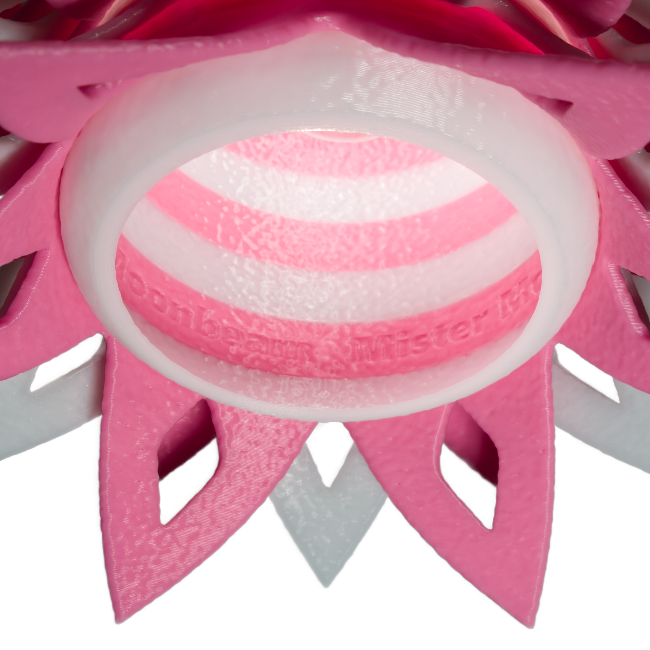 Pinecone Pink Bottom.png