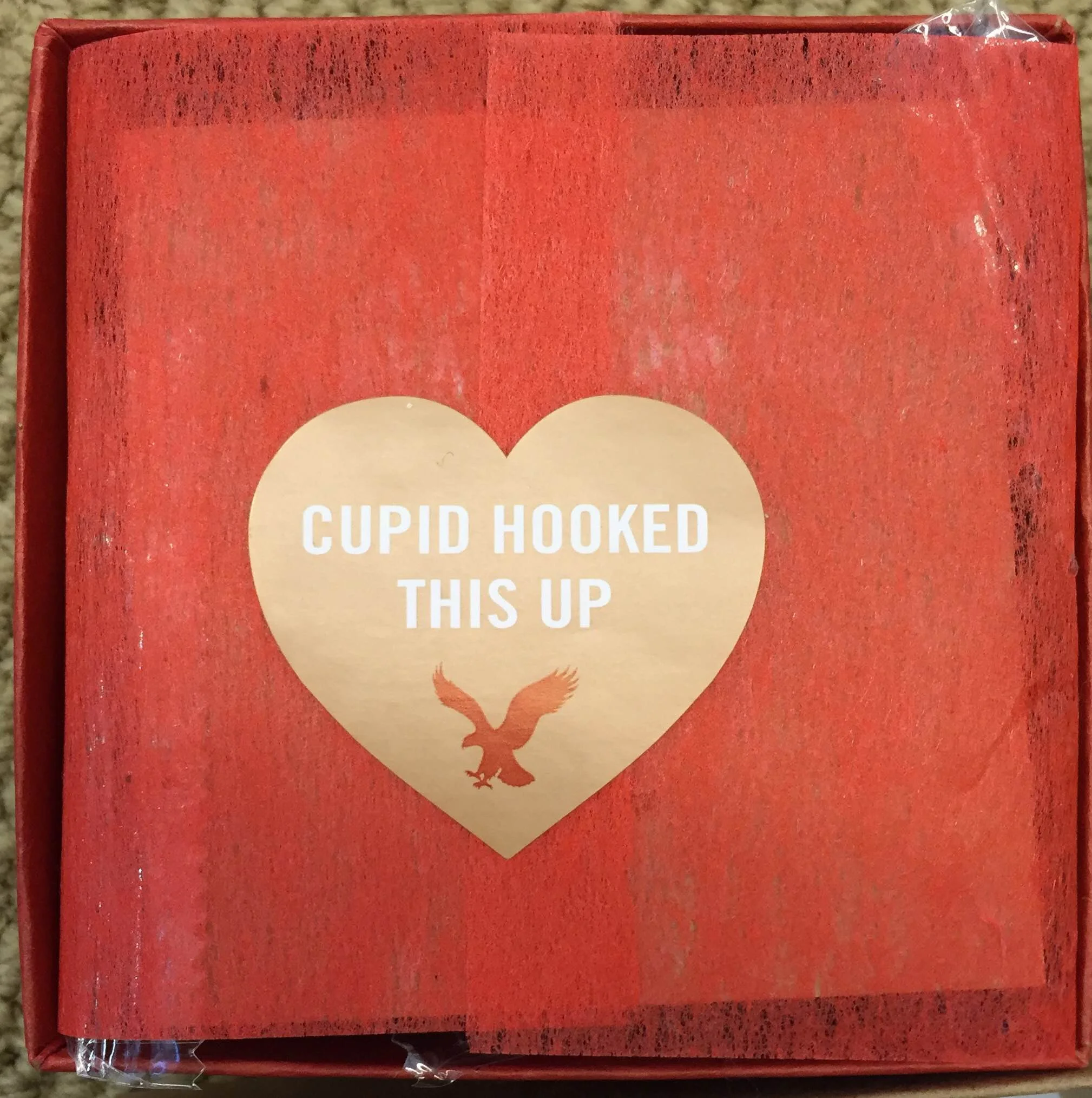 American Eagle Outfitters + Brownie Points Collaboration