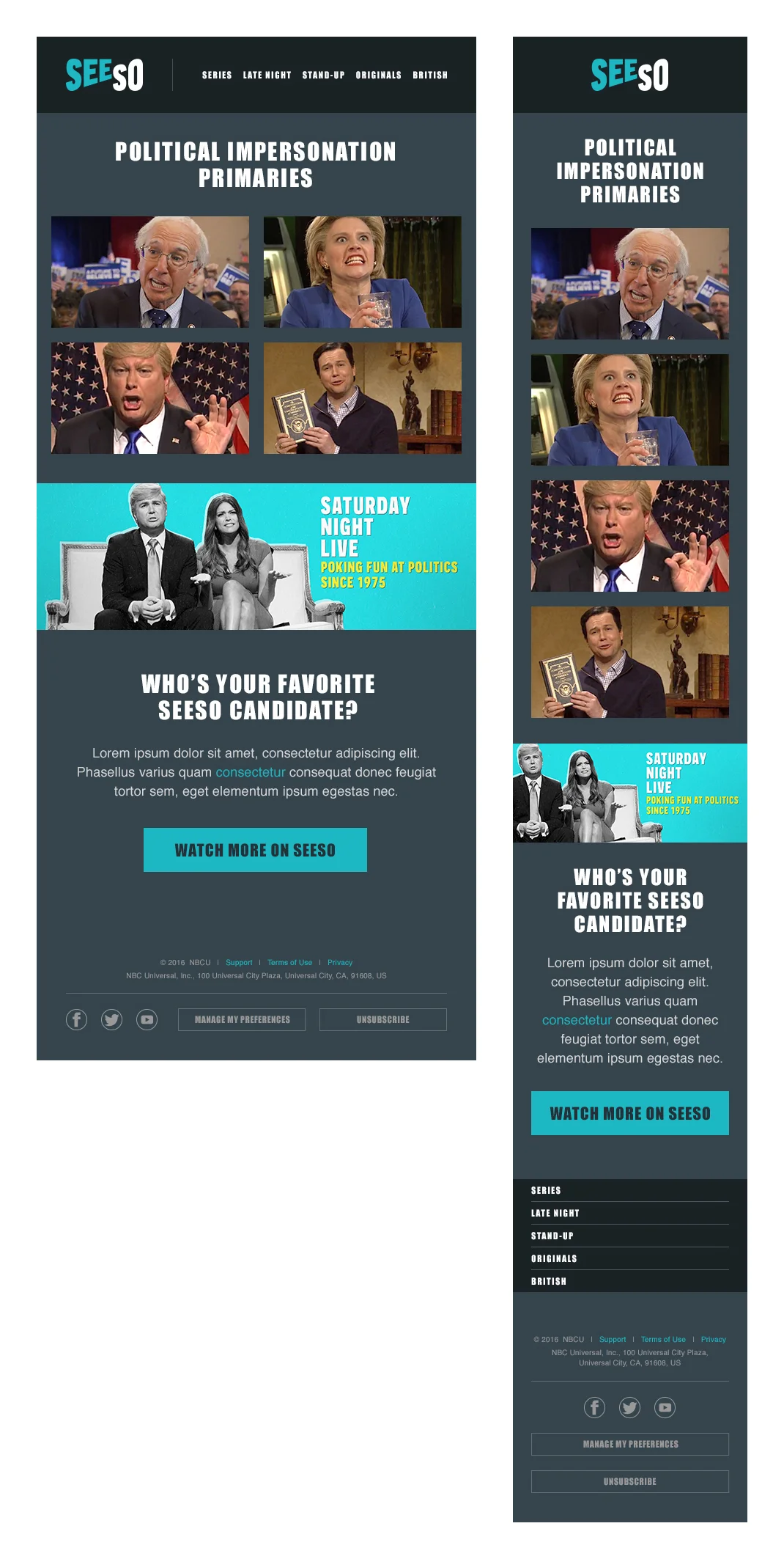 Responsive_EmailCampaign.jpg