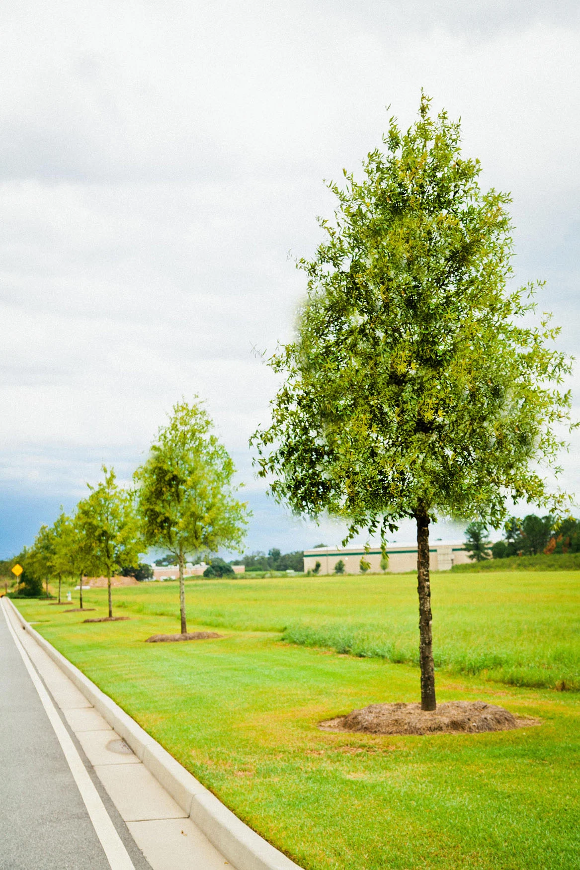 Burk Irrigation & Landscaping