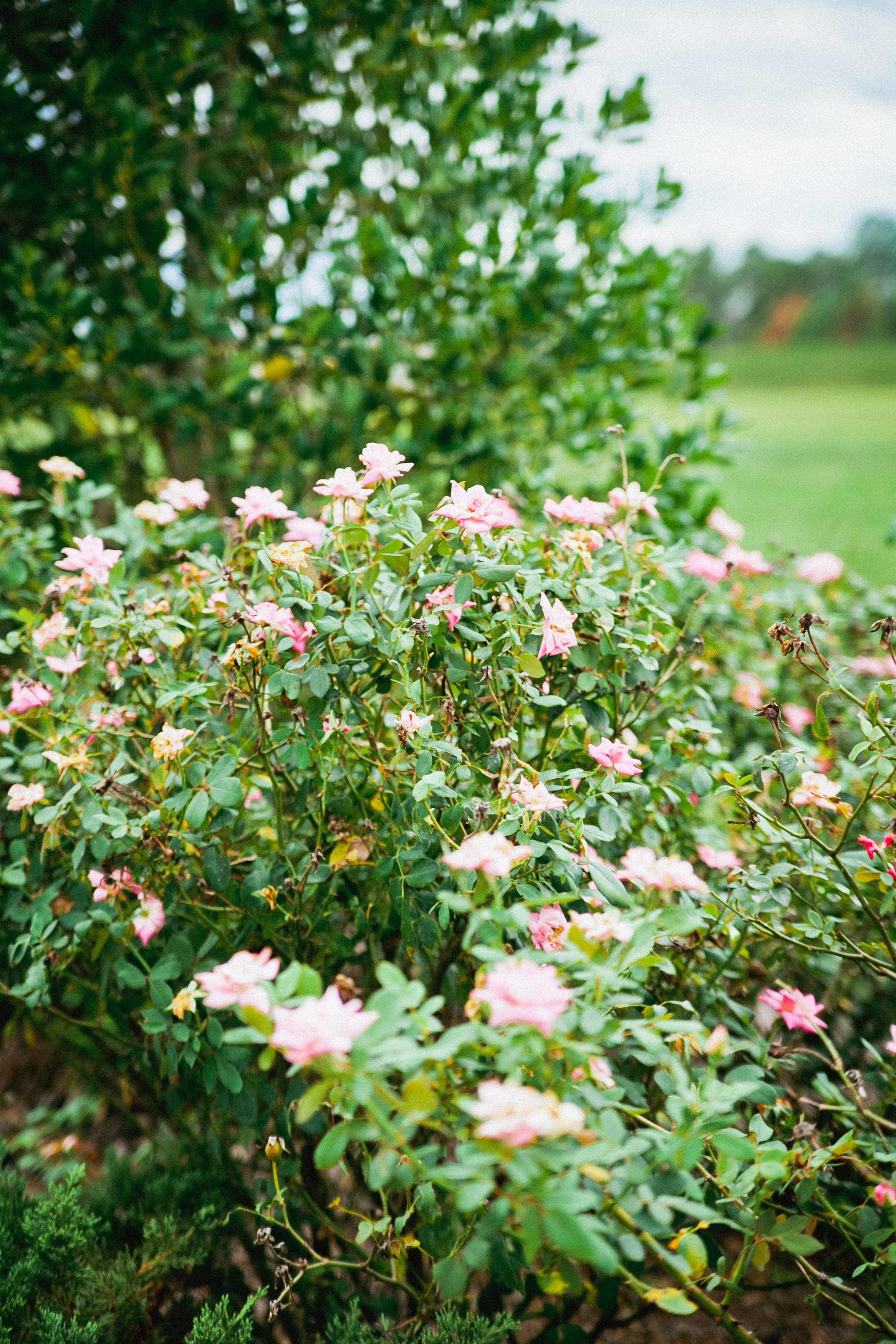 Contact — Burk Landscape