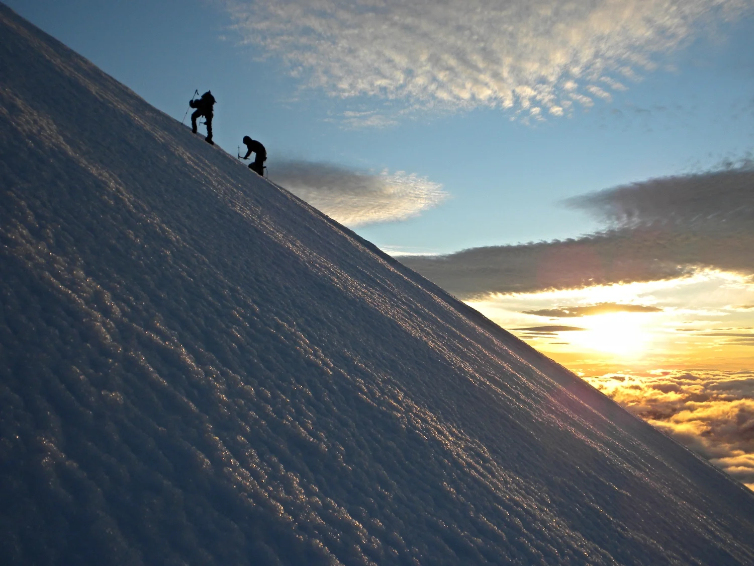 Pentaquest - Homepage.JPG