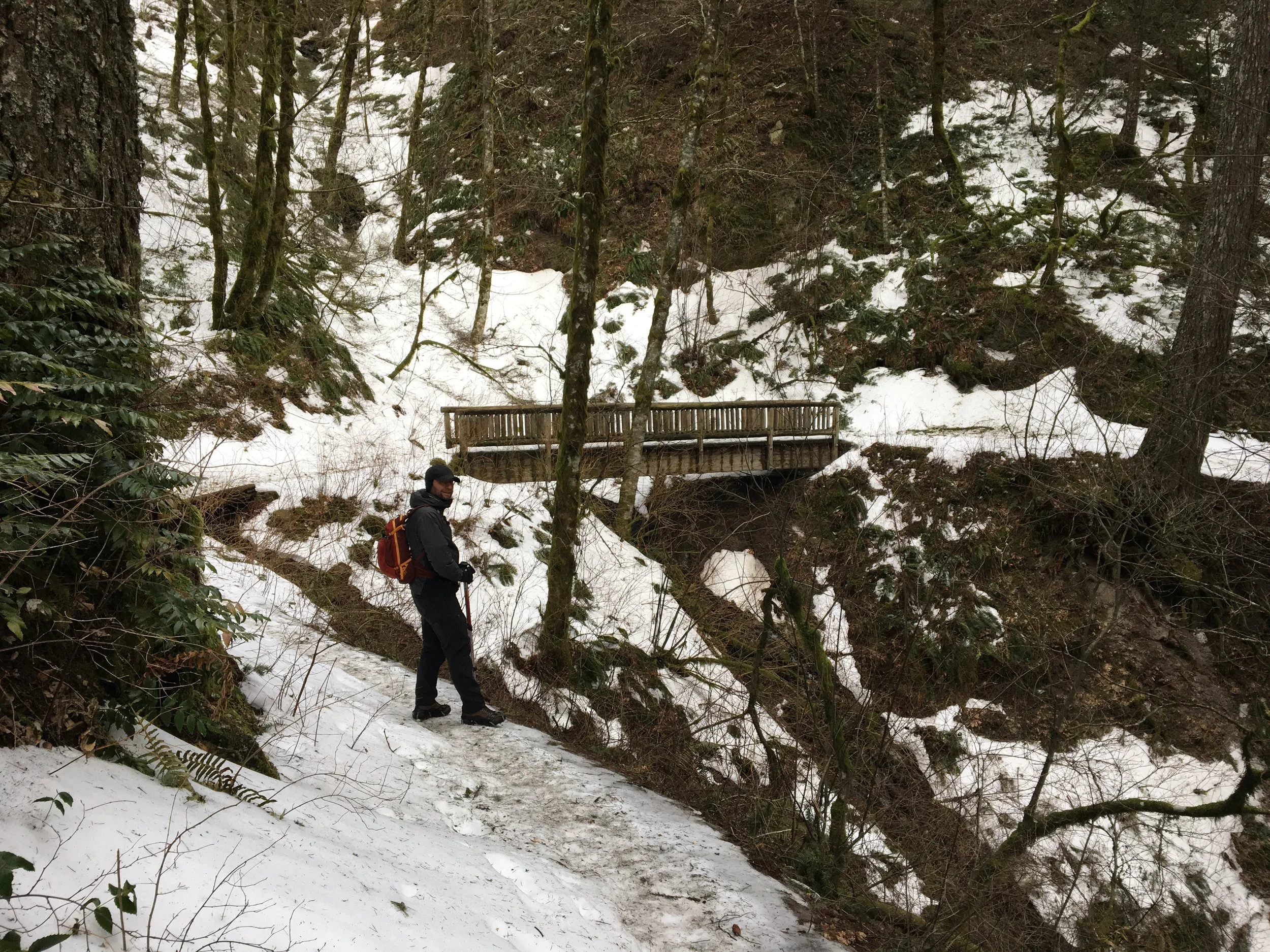 Hamilton Mountain - January 28, 2017
