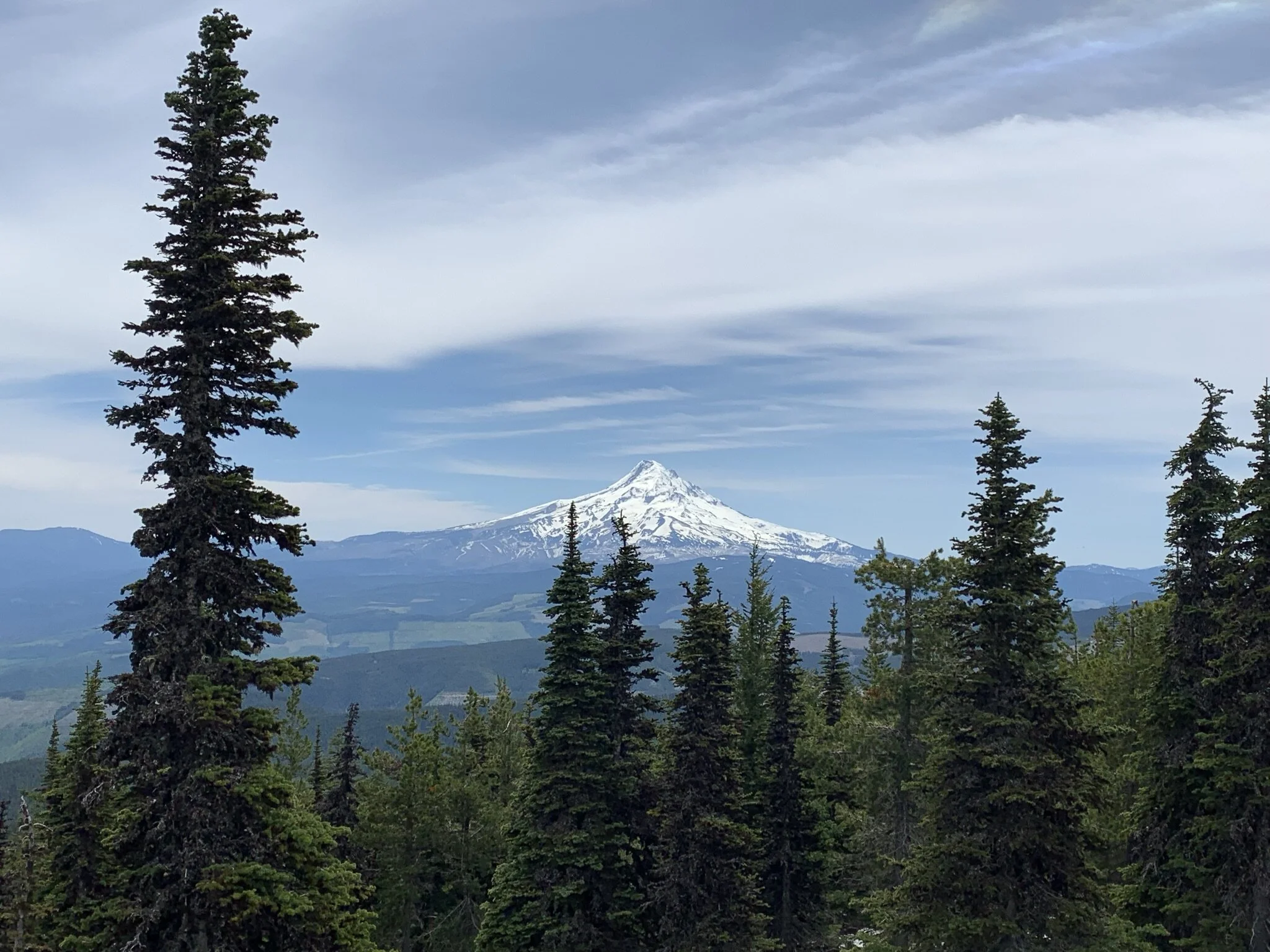 Mount Defiance - May 30, 2021
