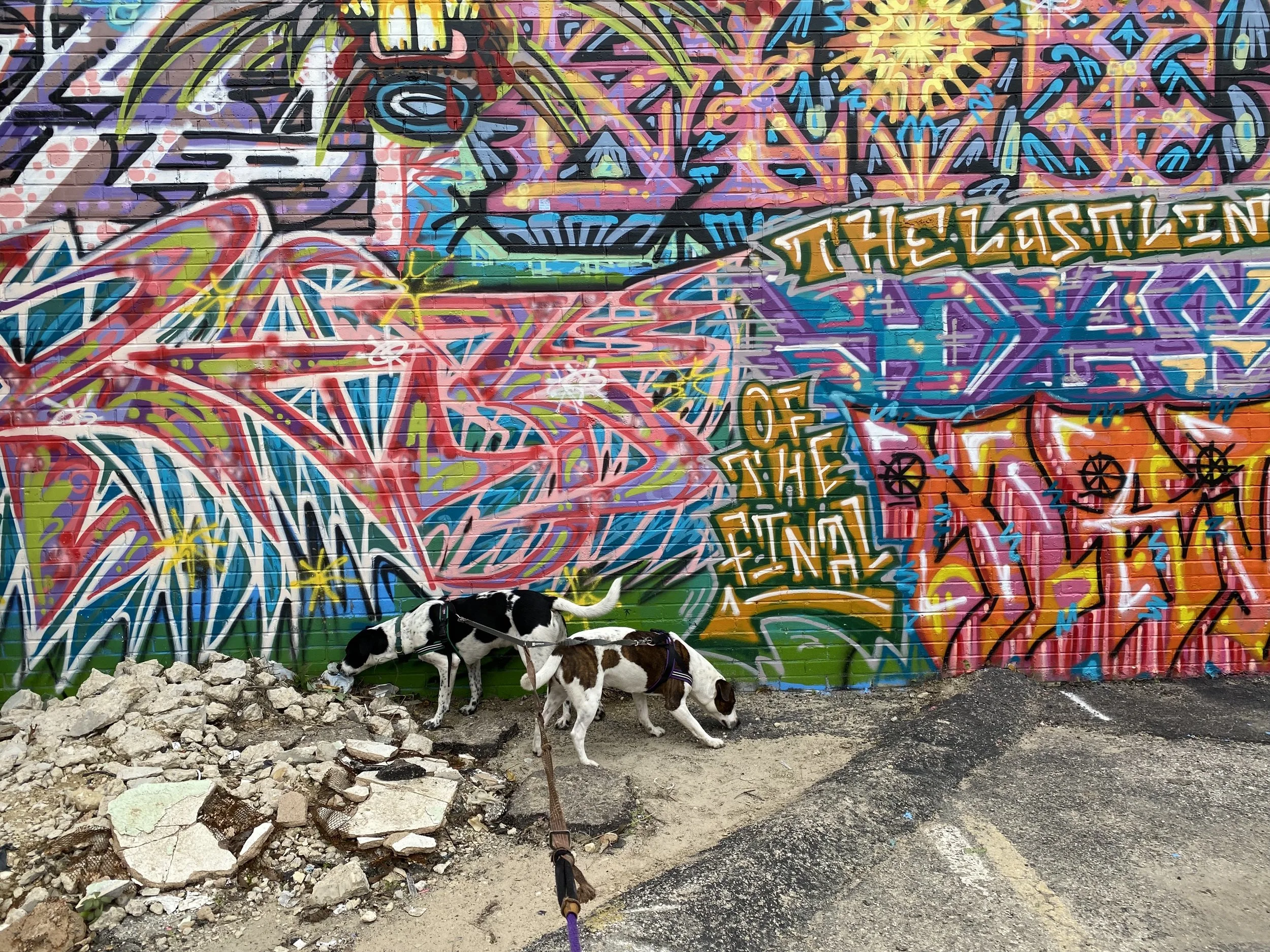 IMG_3315.jpeg