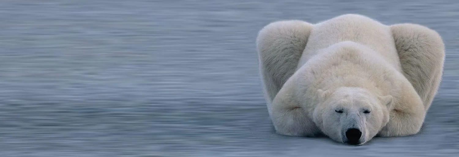 The Edge of Extinction