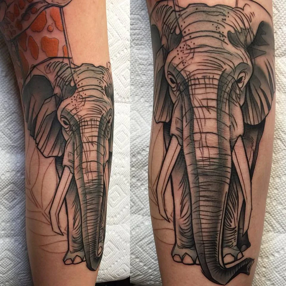Elephant by David Mushaney