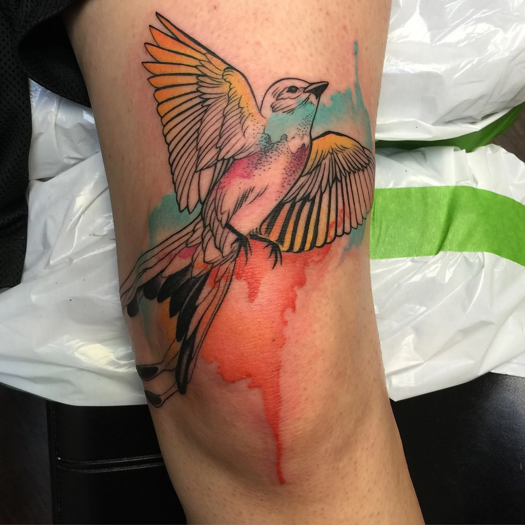 Watercolor Bird by David Mushaney