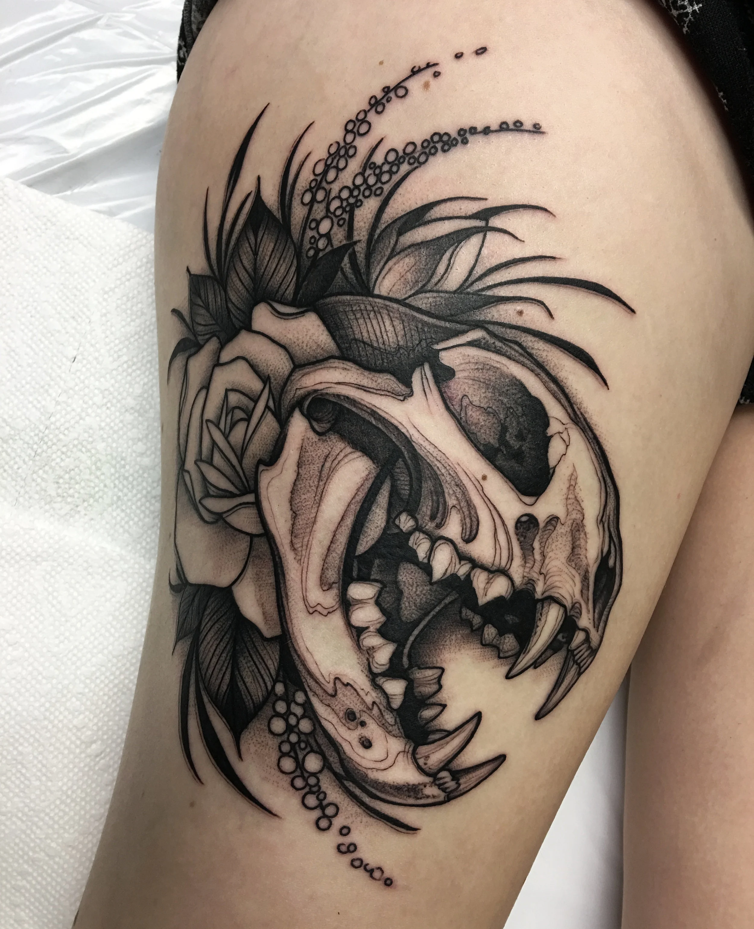 Blackwork Cat Skull and Rose Tattoo by David Mushaney