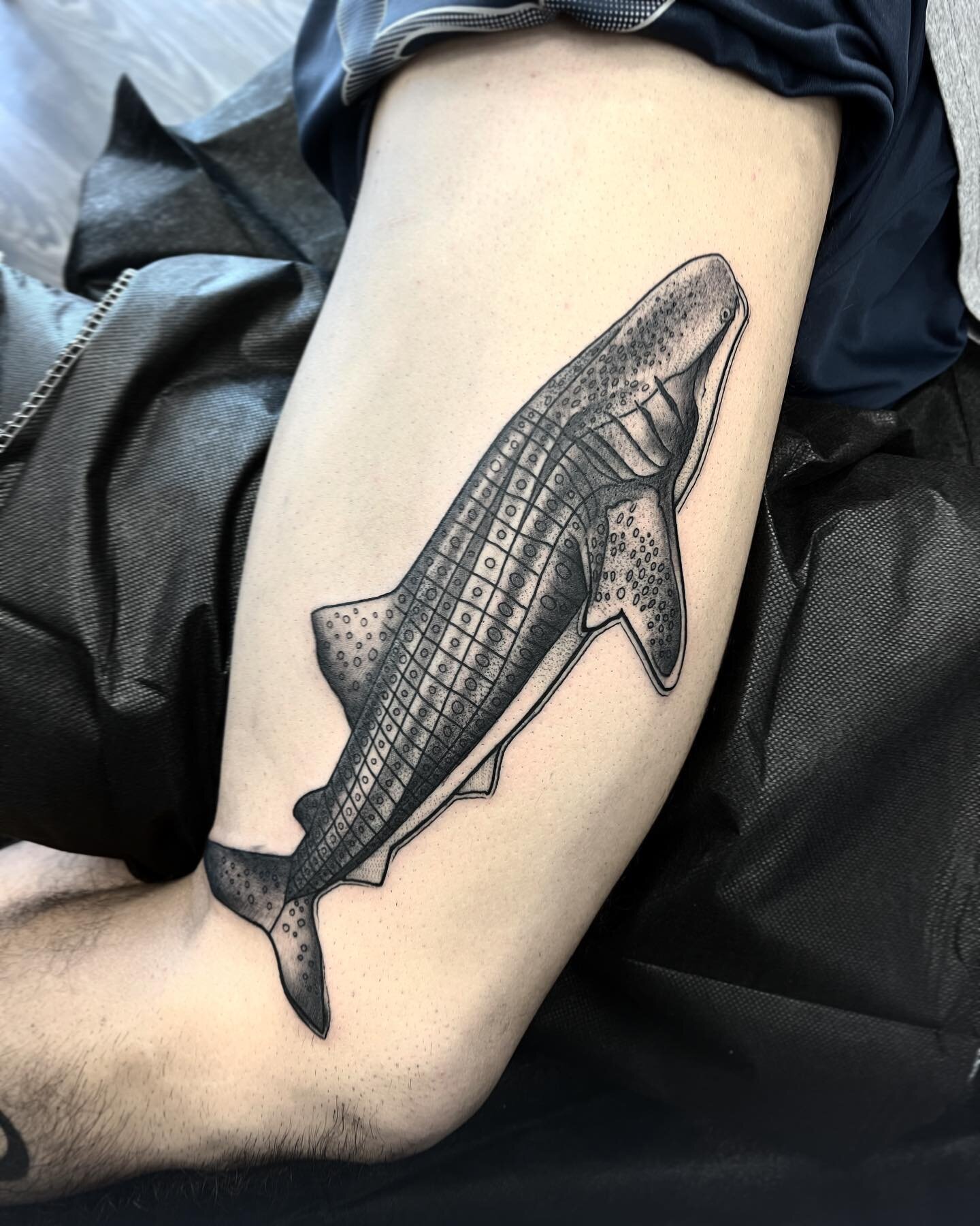 Whale shark on the side of a thigh! ✌🏻

DMTATTOOS.COM

#shark #sharktattoo #blackwork #blackworktattoo #blackworktattoos #rebelmusetattoo #dallastattooartist