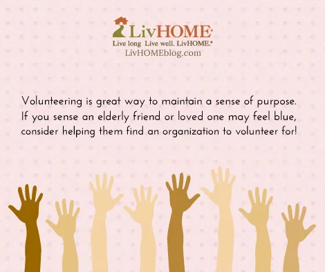 activity-volunteering.jpg