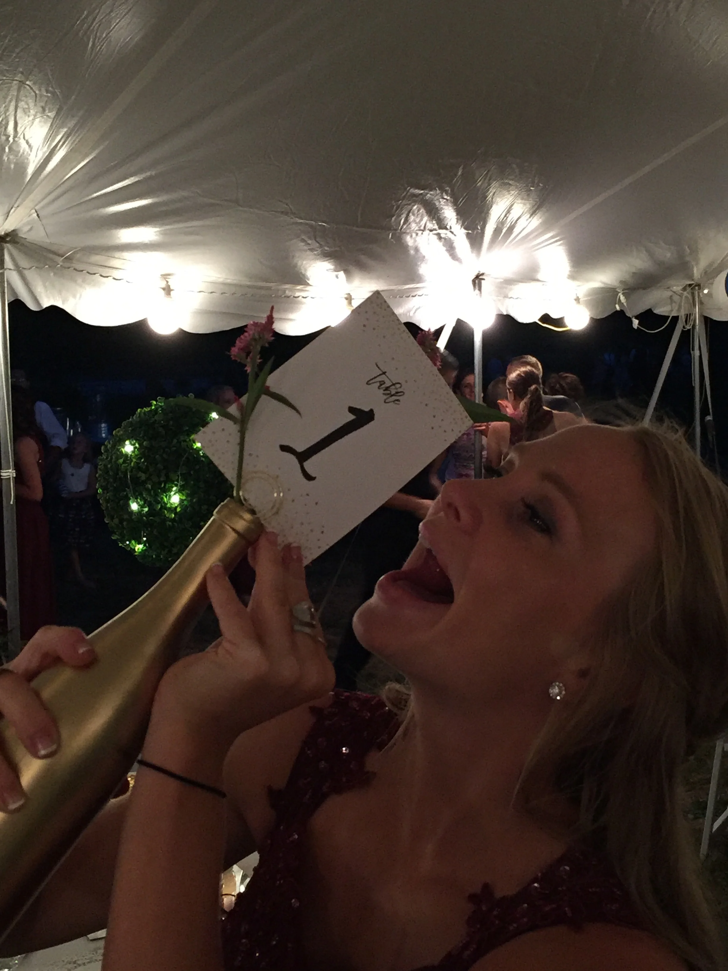   jen &amp; carson | table numbers   modeled by: holli  